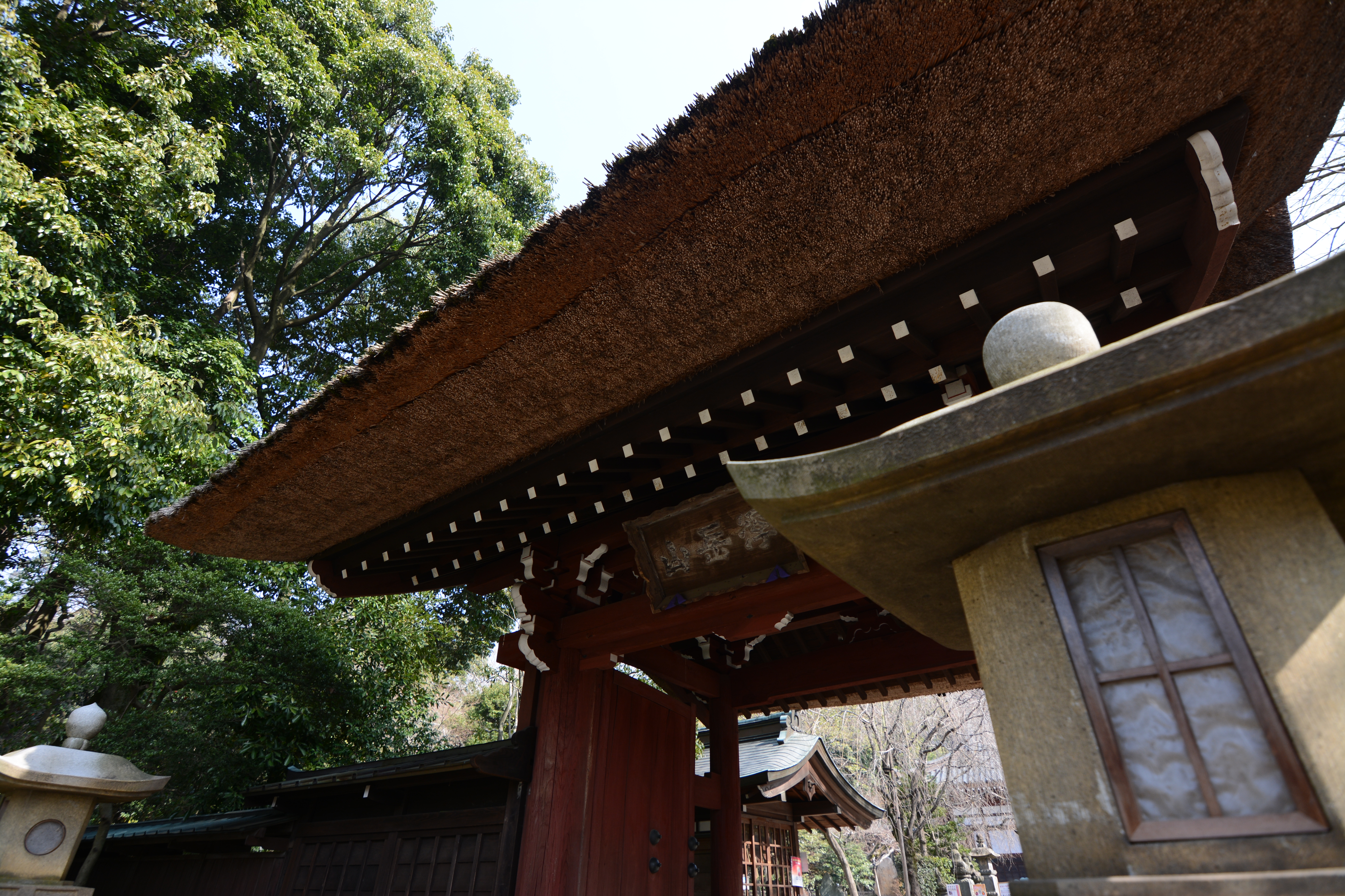 絞りF4・距離数mで撮影。D7100 / 1/250秒 / F4 / -2EV / ISO100 / 絞り優先AE / 11mm