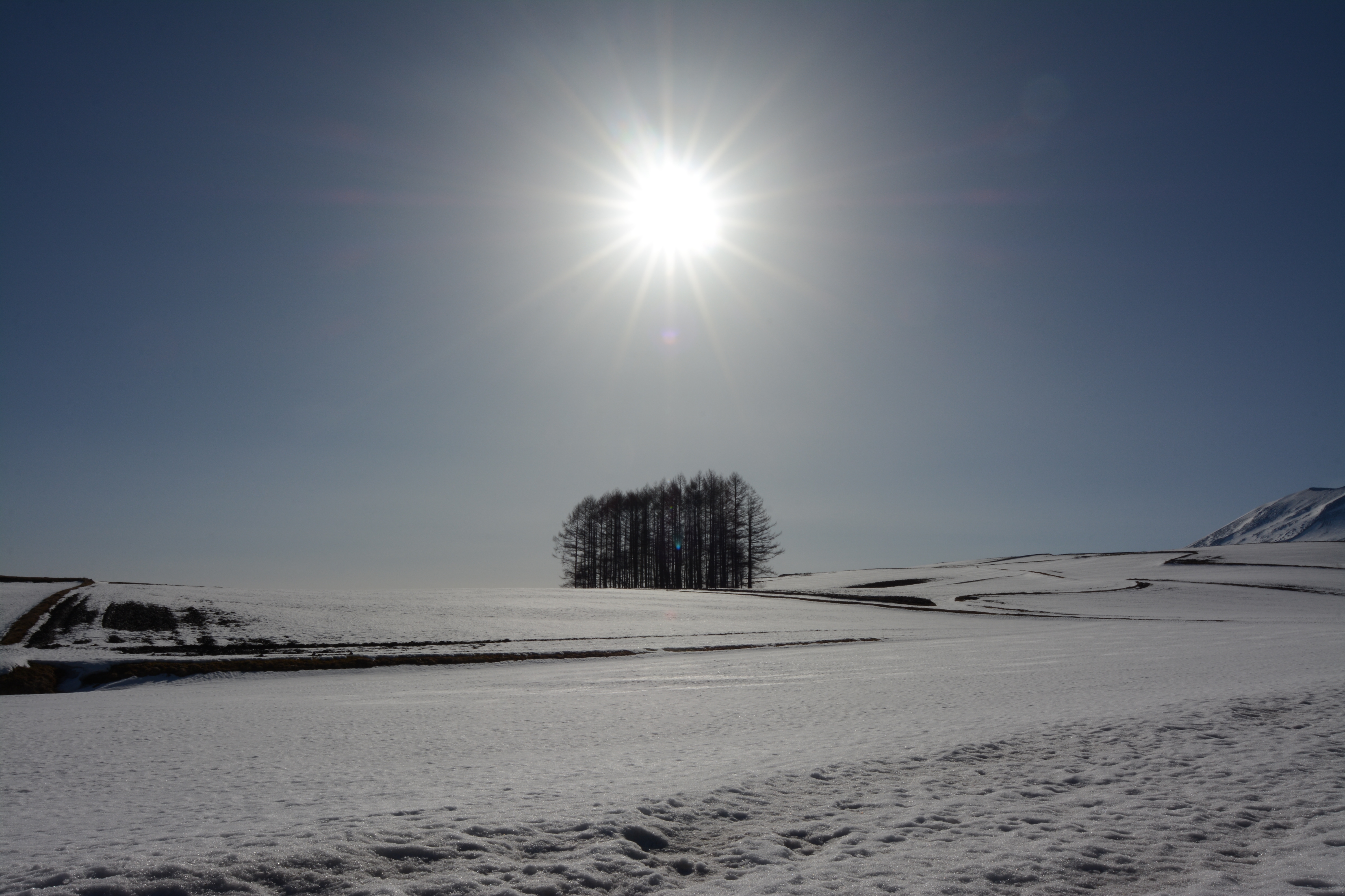 D7100 / 1/320秒 / F22 / -2EV / ISO100 / 絞り優先AE / 17mm（Capture NX 2でダスト除去のみ行っています）