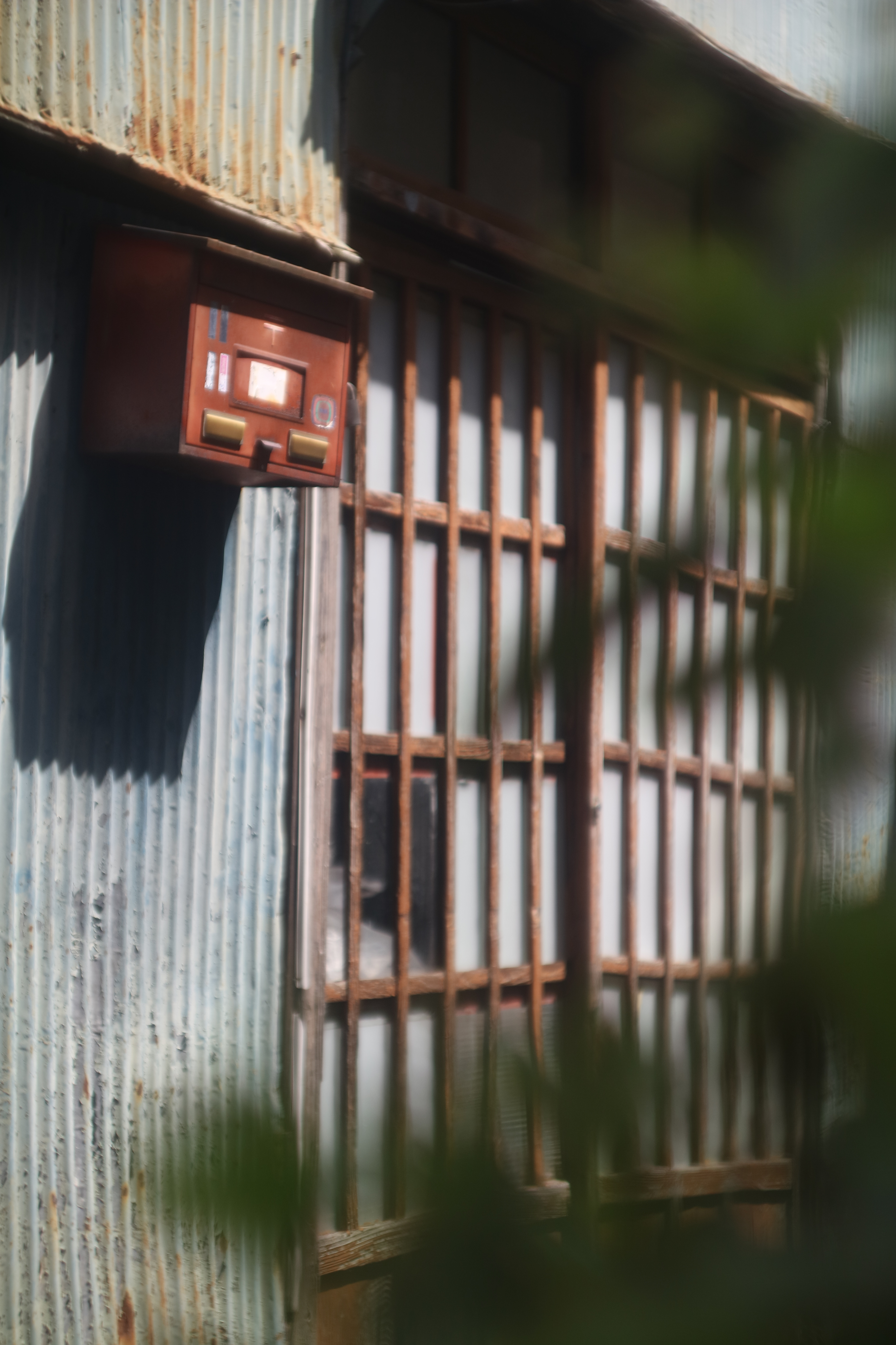 EOS M3 / Summarit 50mm F1.5 / 1/2,000秒 / F1.5 / 0EV / ISO100 / WB:オート