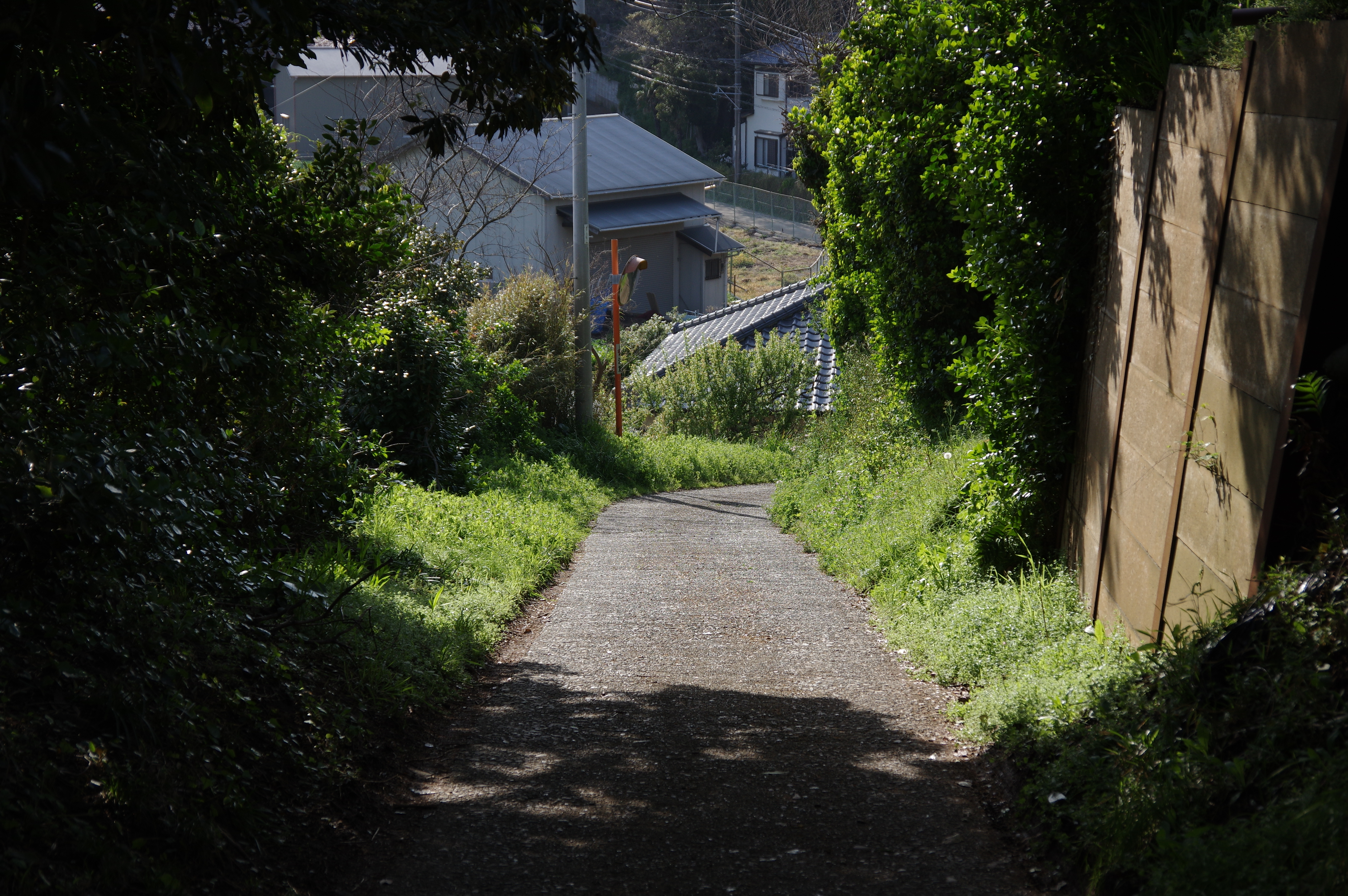 1/1,000秒 / F5.6 / ISO250 / 絞り優先AE / 48mm