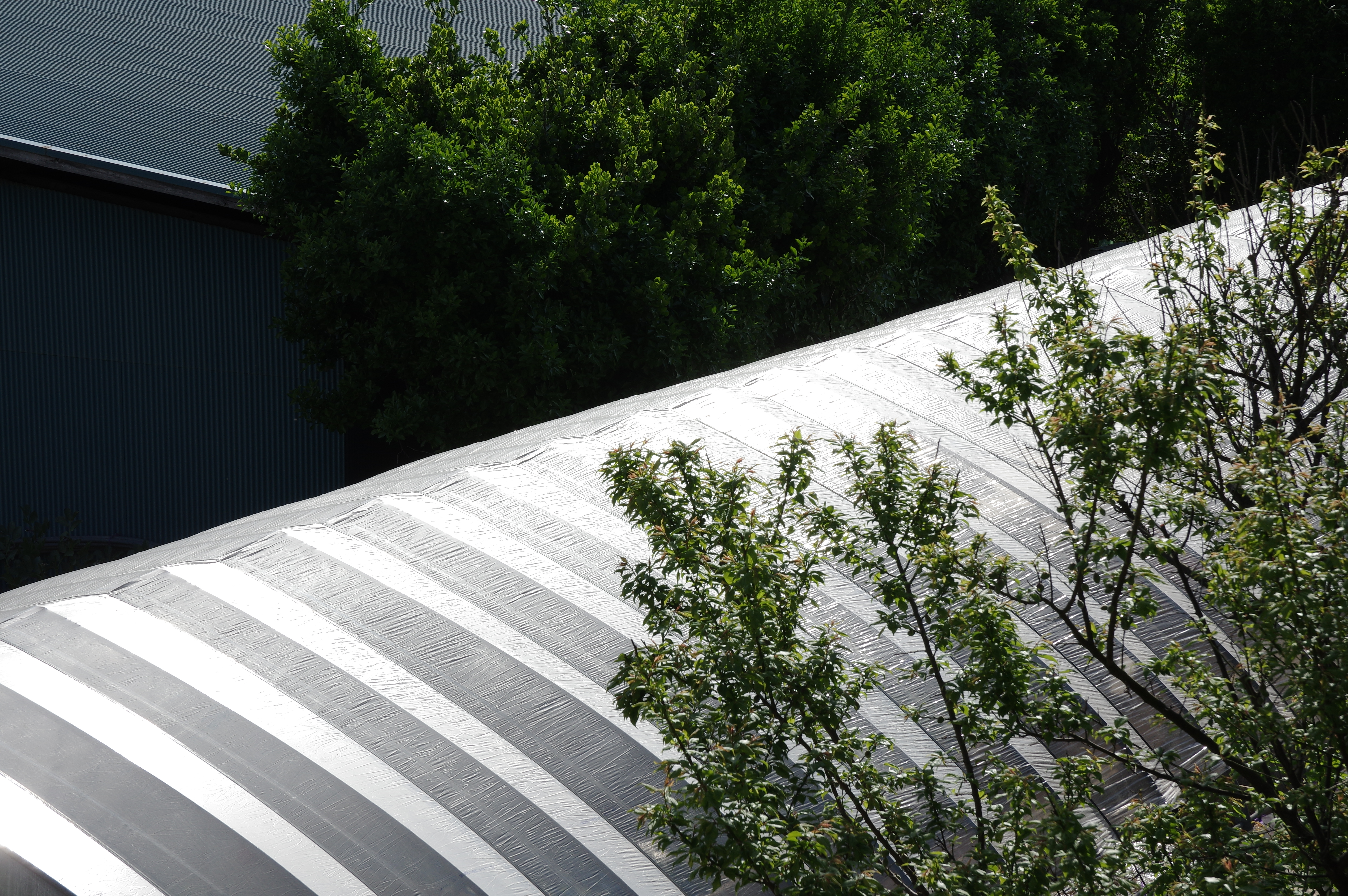 1/400秒 / F11 / ISO250 / 絞り優先AE / 60mm