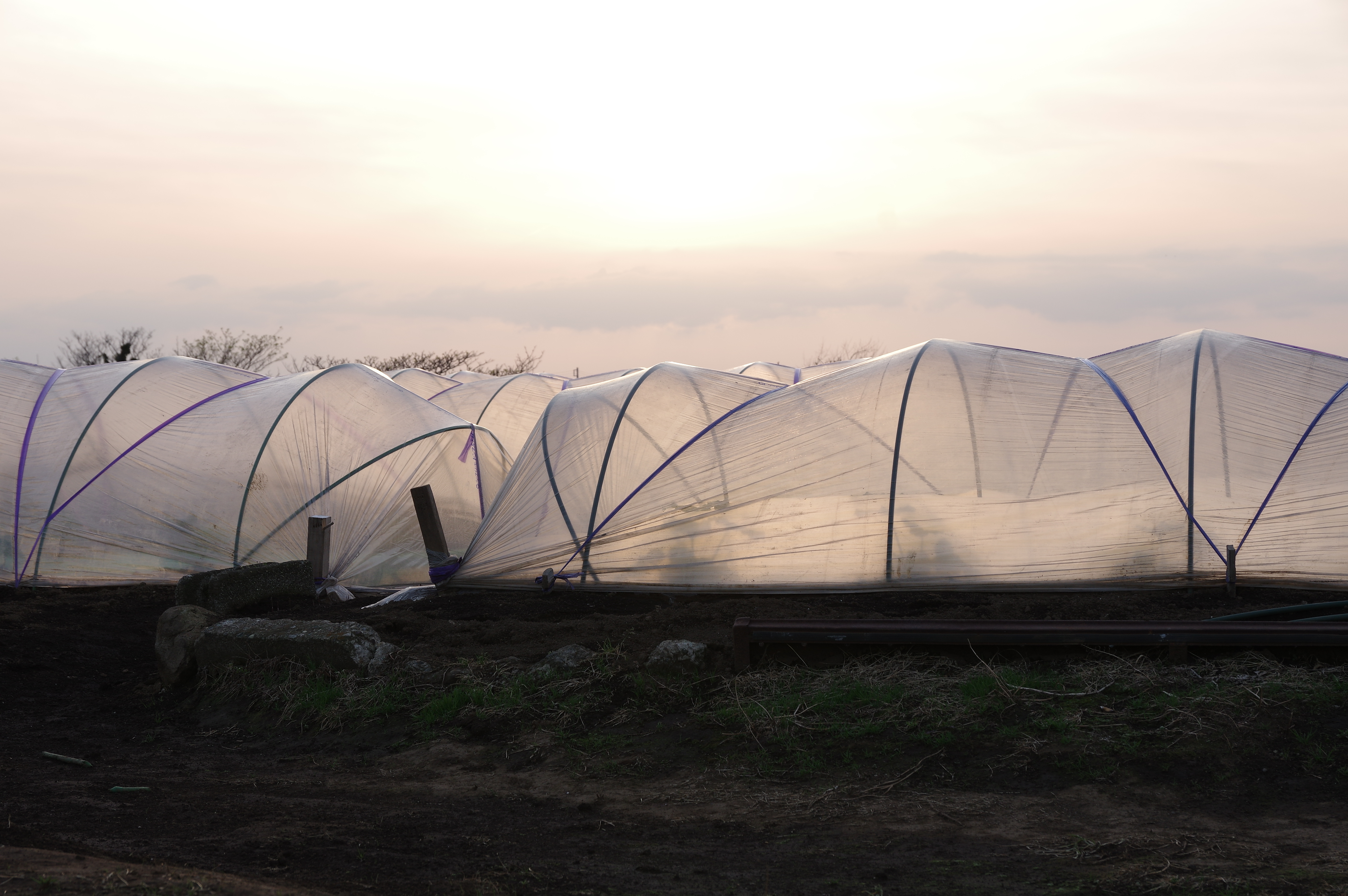 1/125秒 / F9 / ISO200 / 絞り優先AE / 53mm