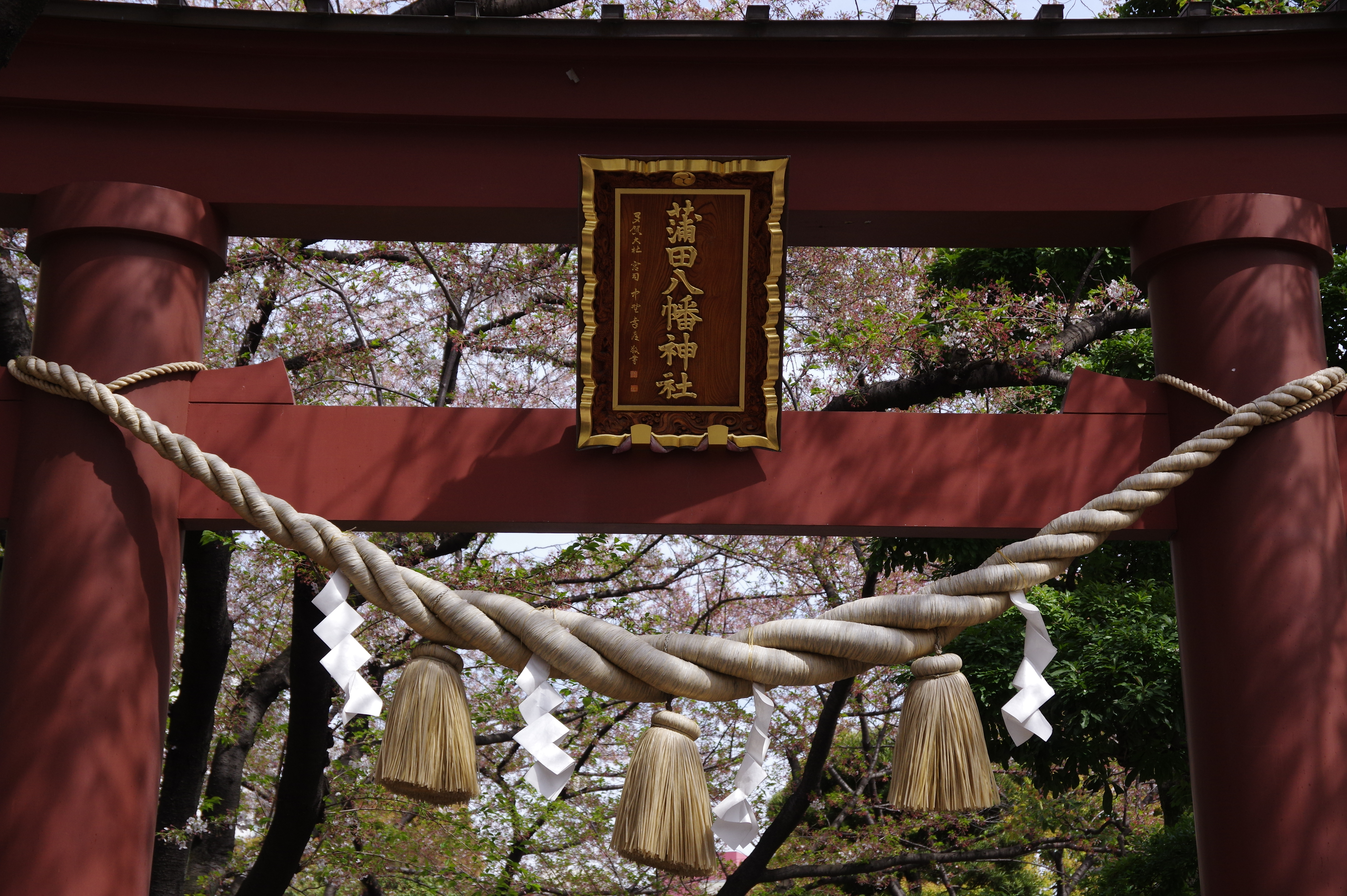 1/1,000秒 / F7 / ISO400 / 絞り優先AE / 53mm