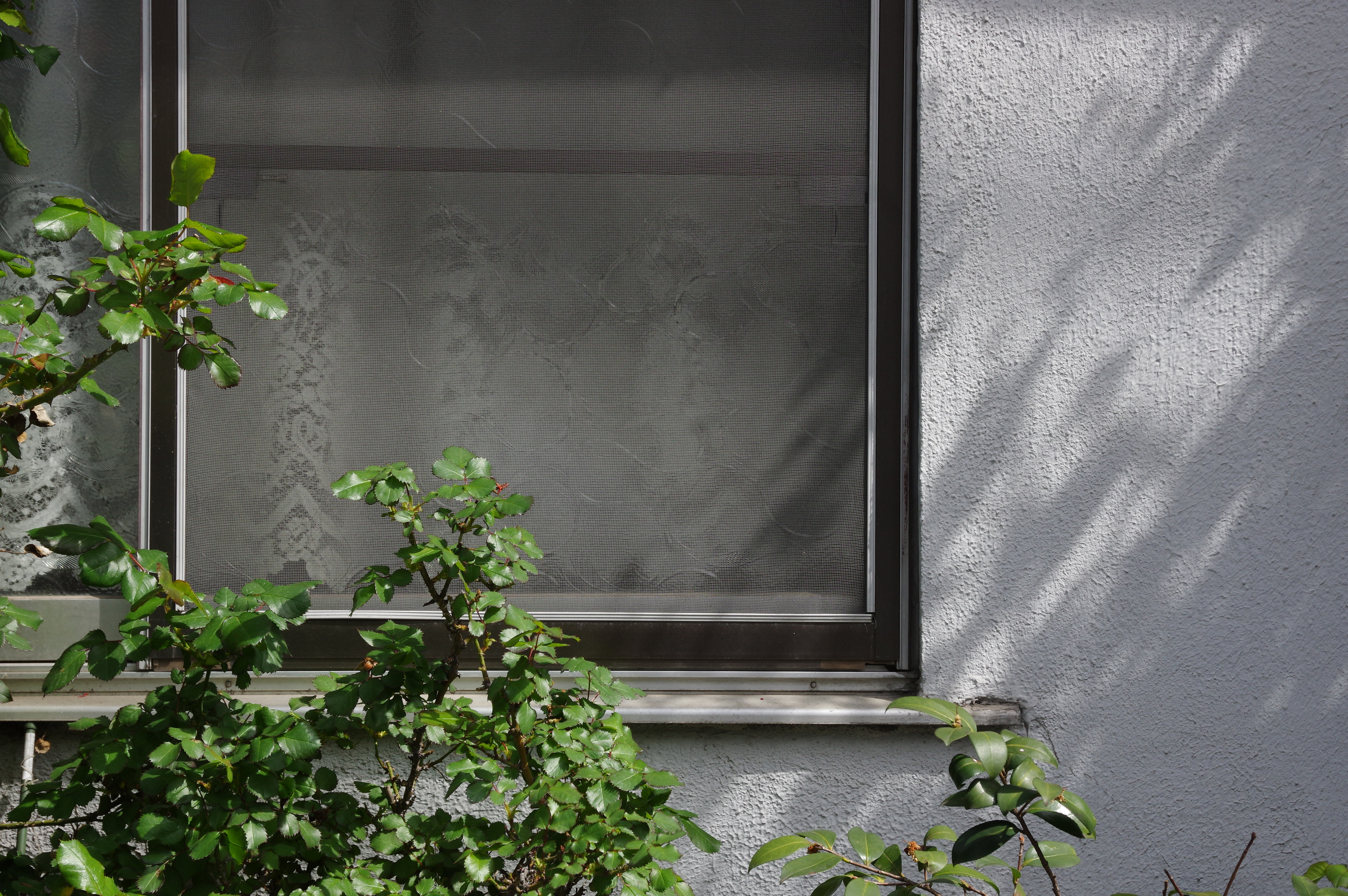 1/320秒 / F10 / ISO400 / 絞り優先AE / 48mm