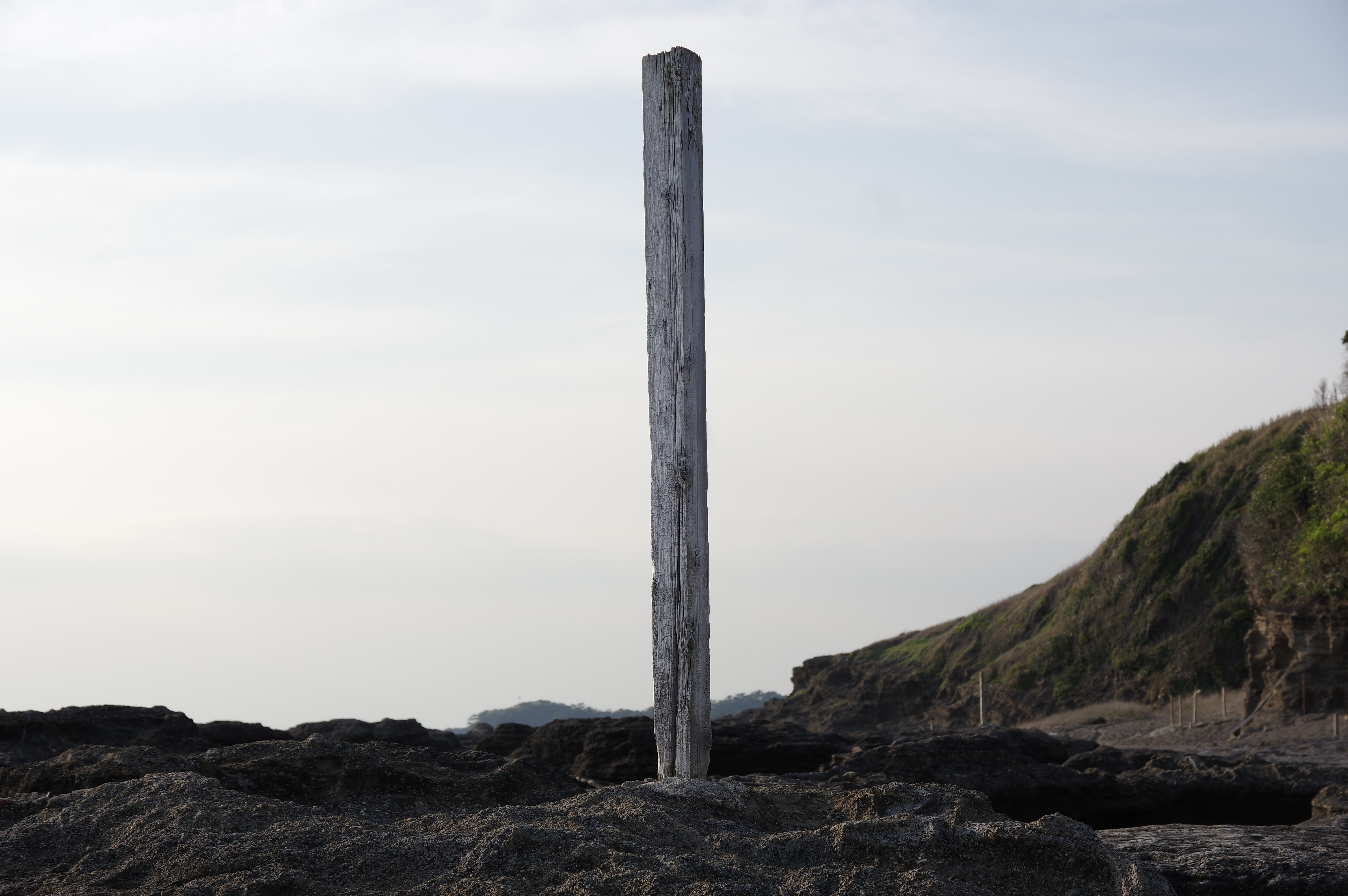 1/500秒 / F8 / ISO200 / 絞り優先AE / 48mm