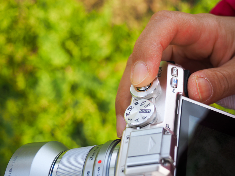 シャッターボタンを半押ししているところです。大抵のデジタルカメラは、半分くらい押し込んだところで、止まるような感触を持つ機種もあります。そこで押し込むのを止めればOK。