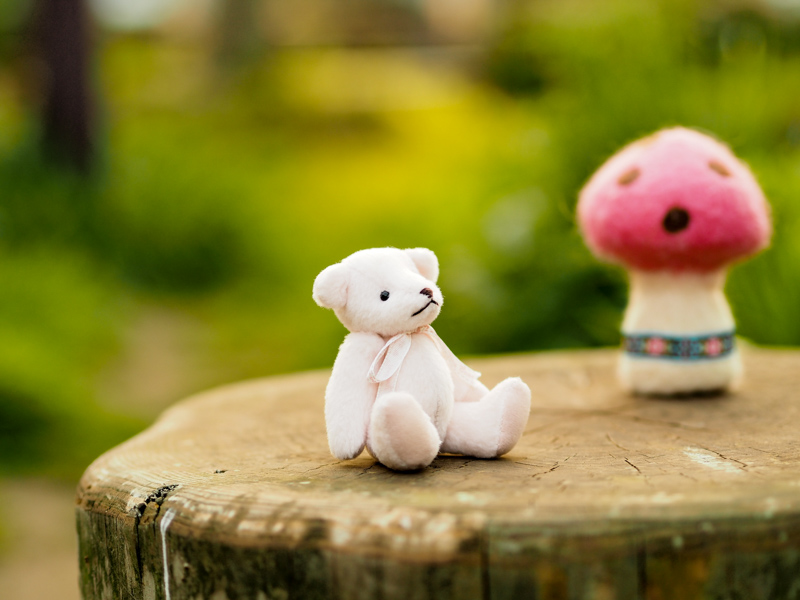 中央でシャッターボタン半押し→全押し