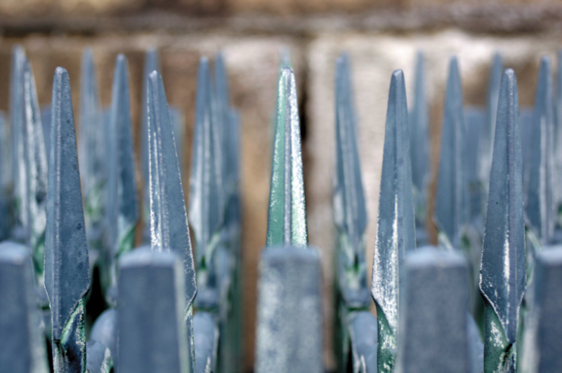 ピントのズレはわずかだが、質感描写を重視するときには、これが致命傷になる。