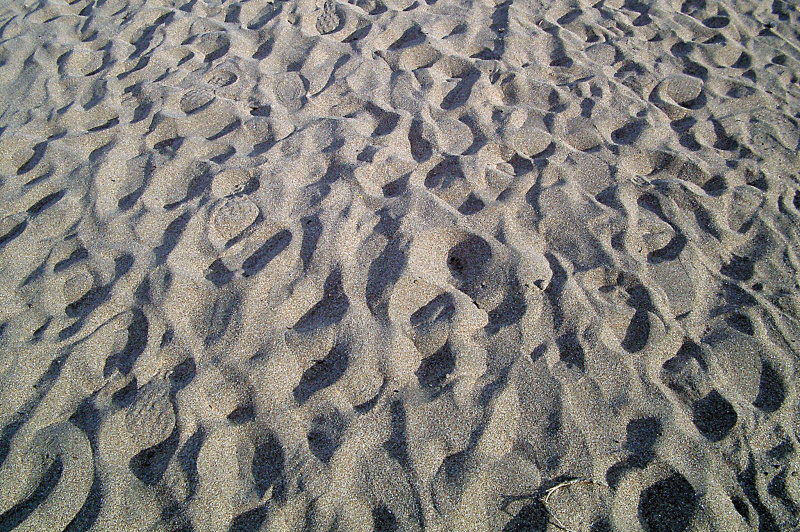 コントラストを強くすることで、陰影の部分がより黒く、日向の部分はより白くなり、砂の質感がよく出てきた。