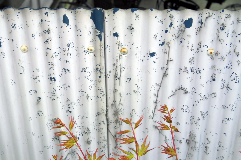 駐車場のトタンのペンキがポロポロとはげかけており、それが小動物の足跡のようだった。猫が歩き回ったイメージで。