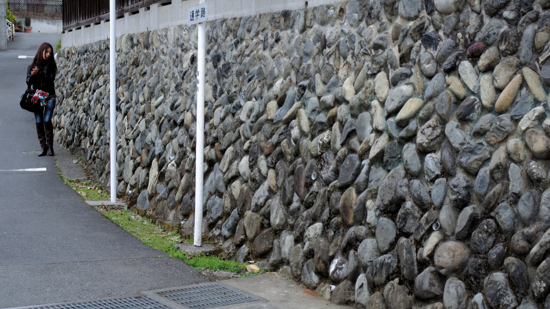 住宅街の石壁。長さを出すために、16対9のハイビジョン比率で撮影。