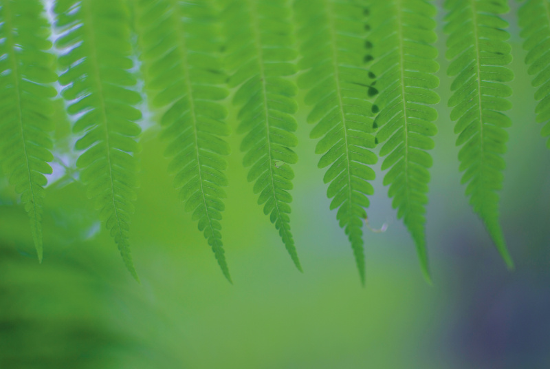 リズムを刻むオブジェクトの種類により、音色が変わる。最初の写真と同じようなリズムだが、自然物はやわらかい。