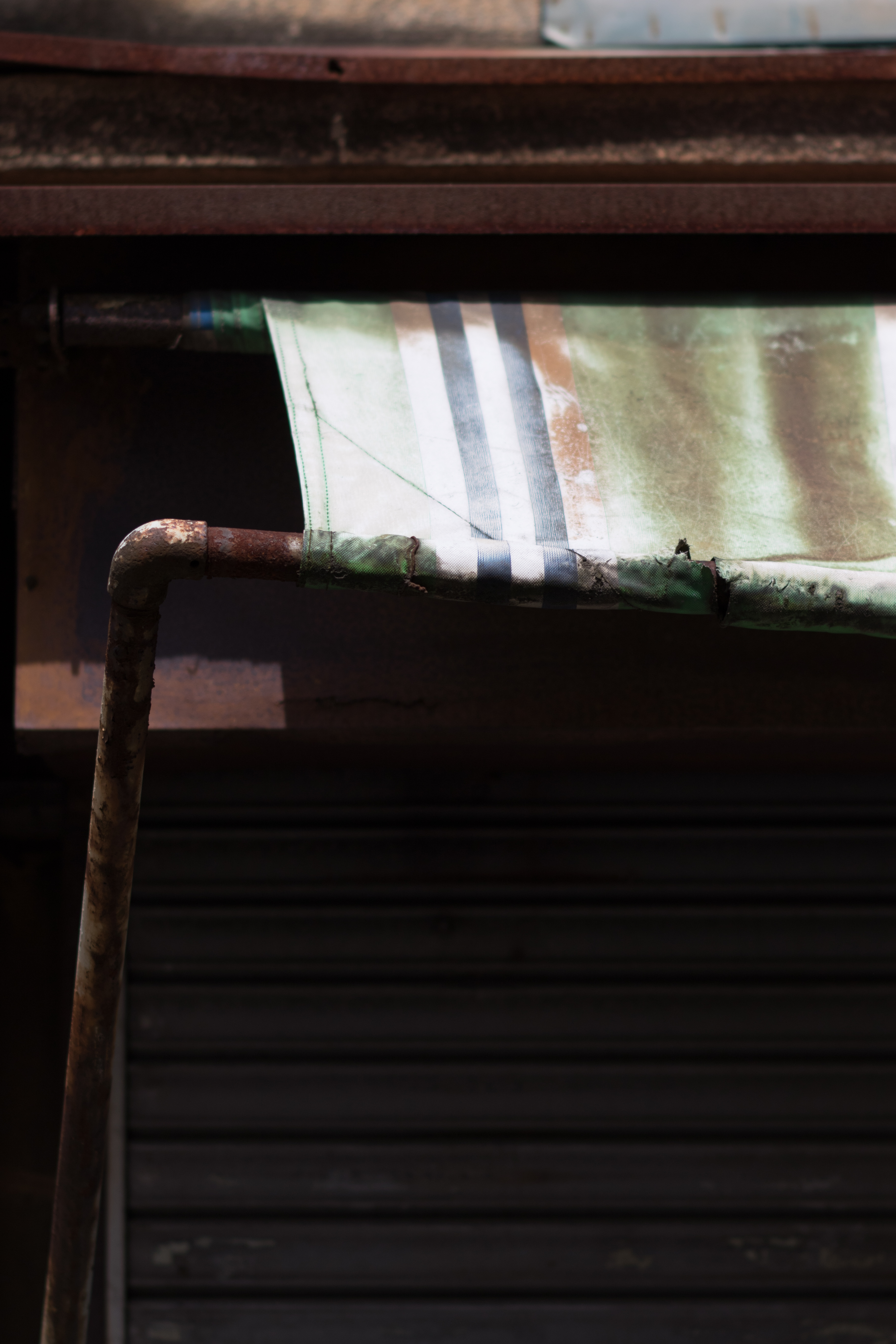 EOS 7D Mark II / Planar T* 80mm F2 / 1/3,200秒 / F2.8 / -0.67EV / ISO100 / WB:オート