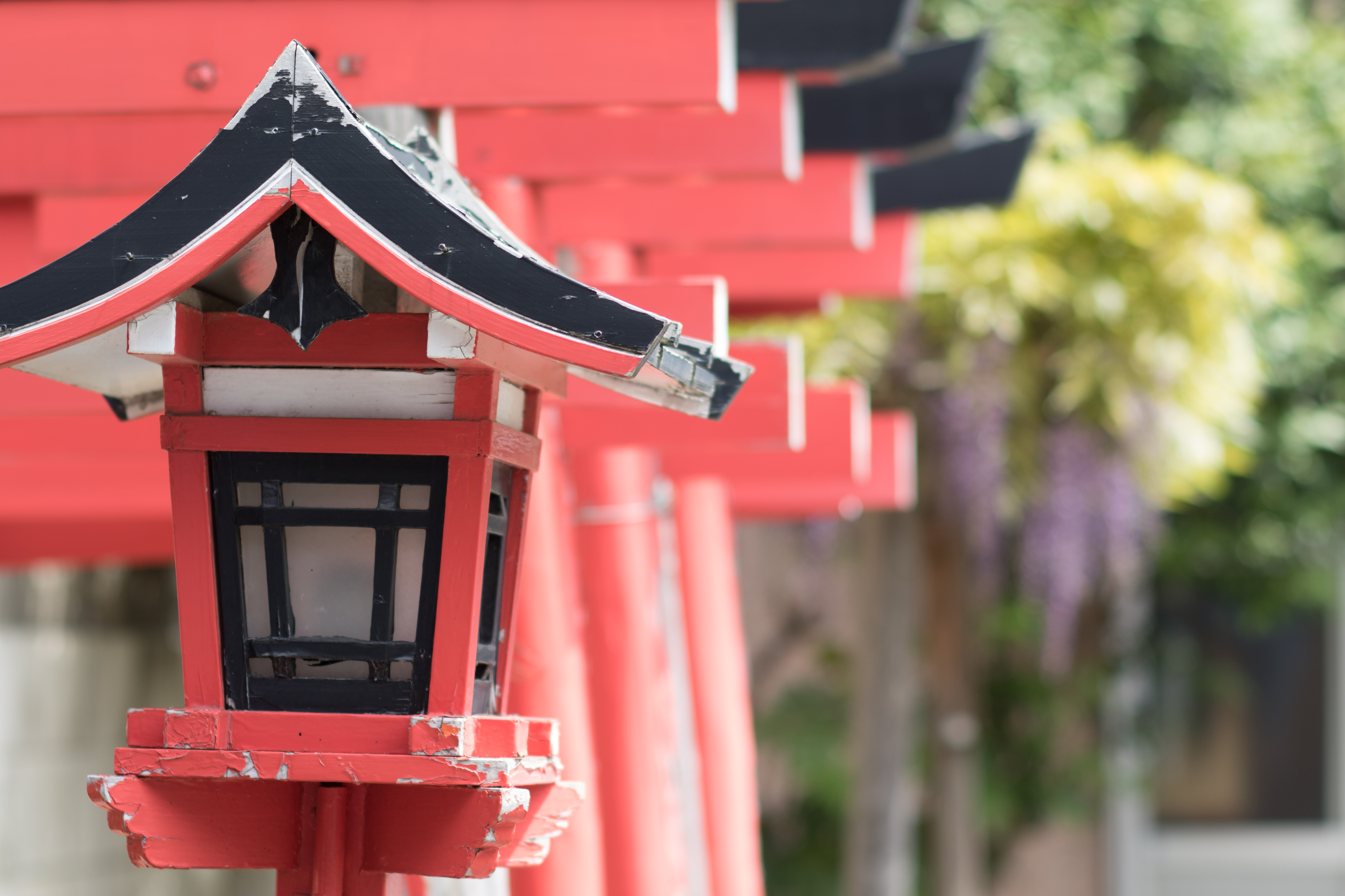 EOS 7D Mark II / Planar T* 80mm F2 / 1/500秒 / F2.8 / ±0EV / ISO100 / WB:オート