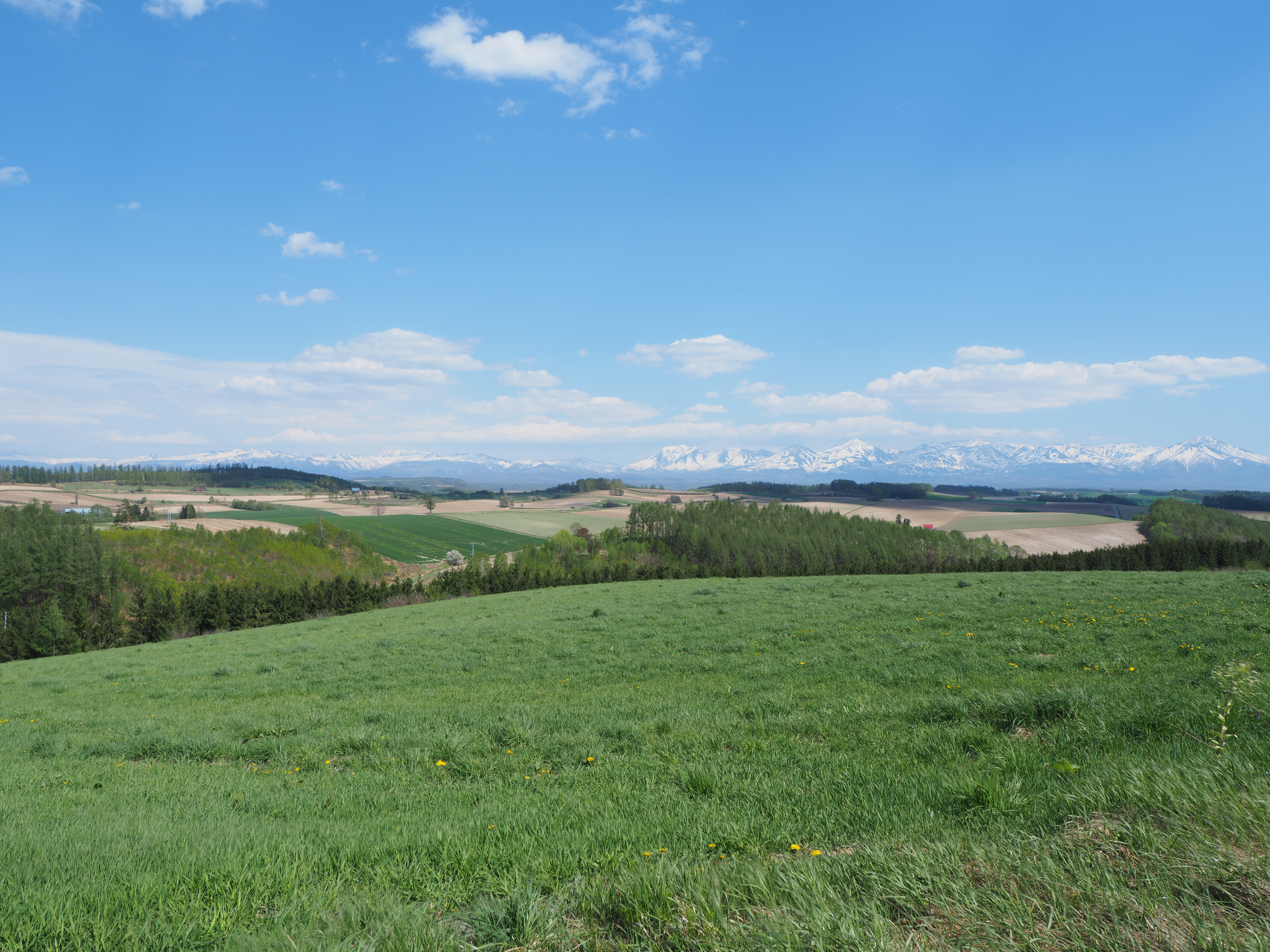 OM-D E-M5 Mark II／M.ZUIKO DIGITAL ED 12mm F2.0／ISO200／F5.6／1/1,000秒（8回露光）／-0.3EV／12mm