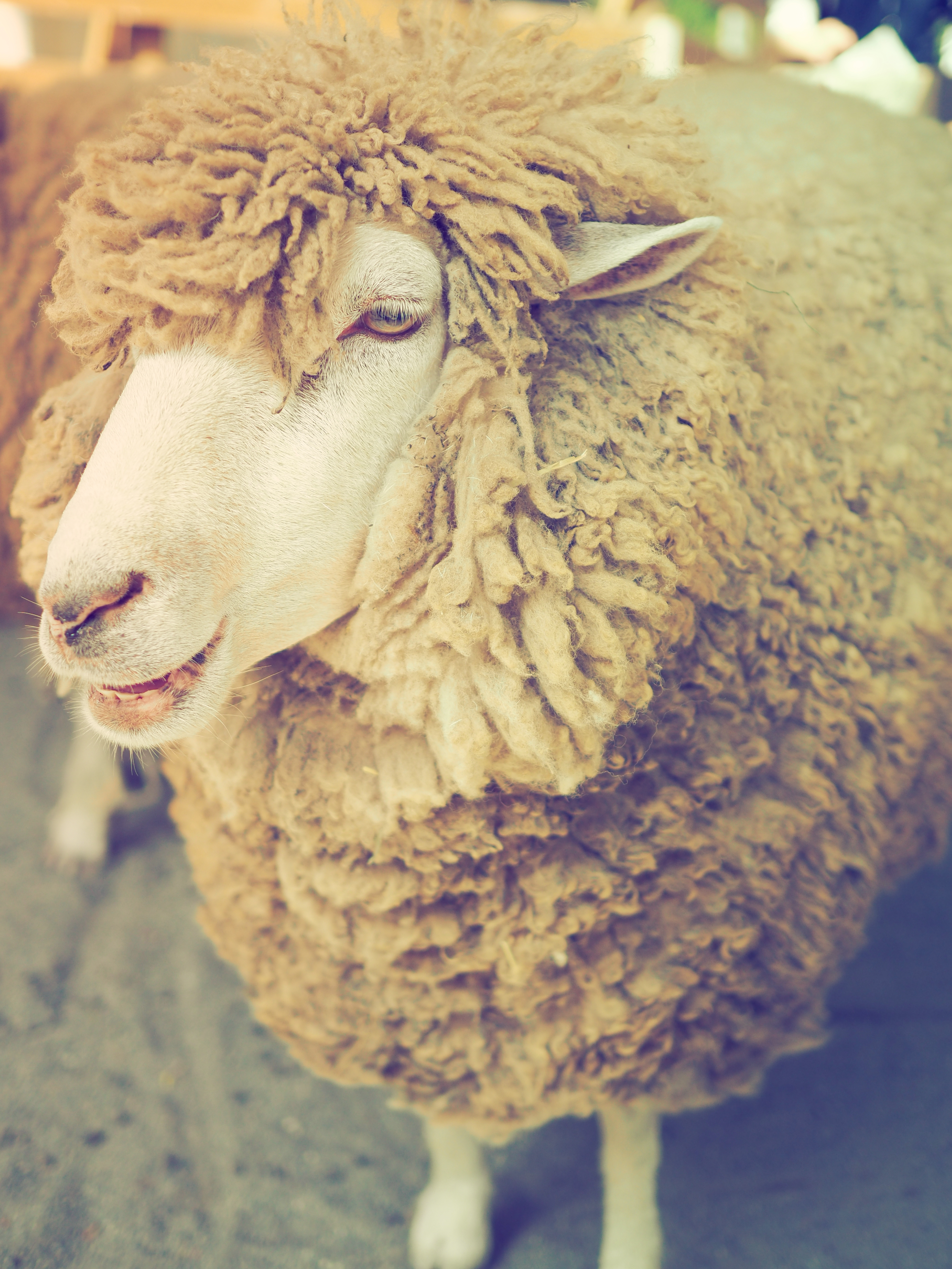 アートフィルター「ヴィンテージ」