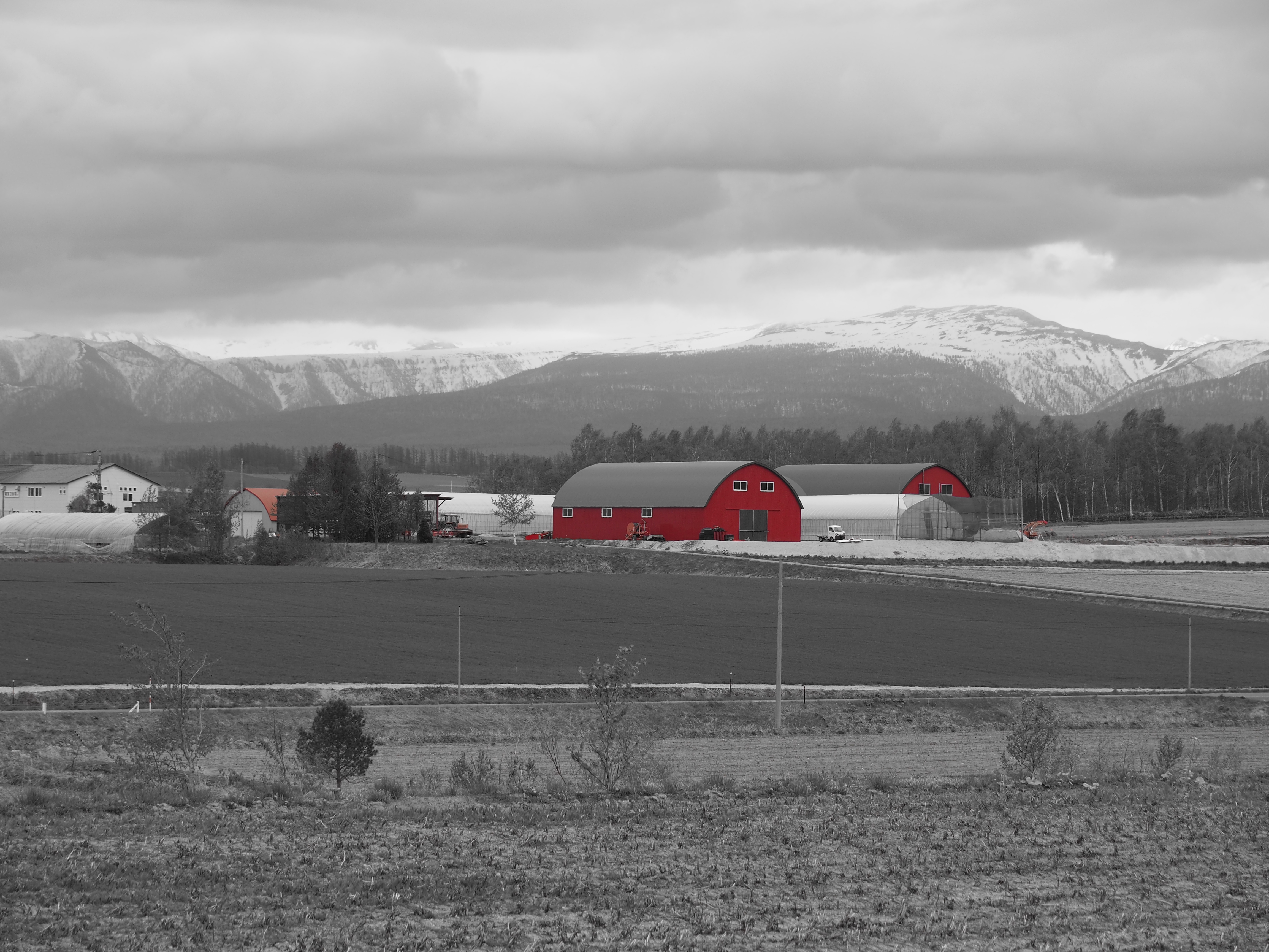 アートフィルター「パートカラー」