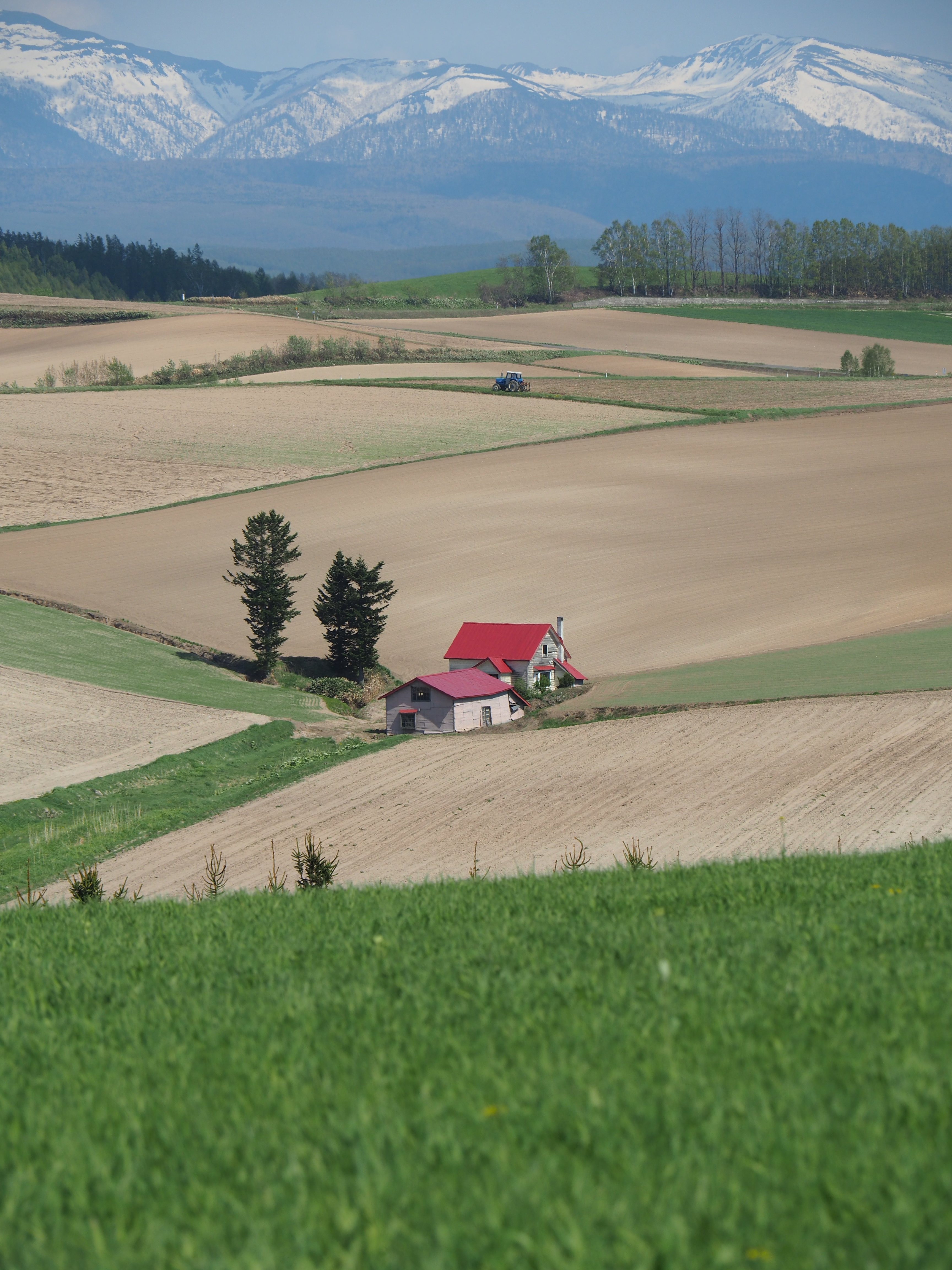 OM-D E-M5 Mark II／M.ZUIKO DIGITAL ED 14-150mm F4.0-5.6 II／ISO200／F7.1／1/1,000秒／0EV／90mm