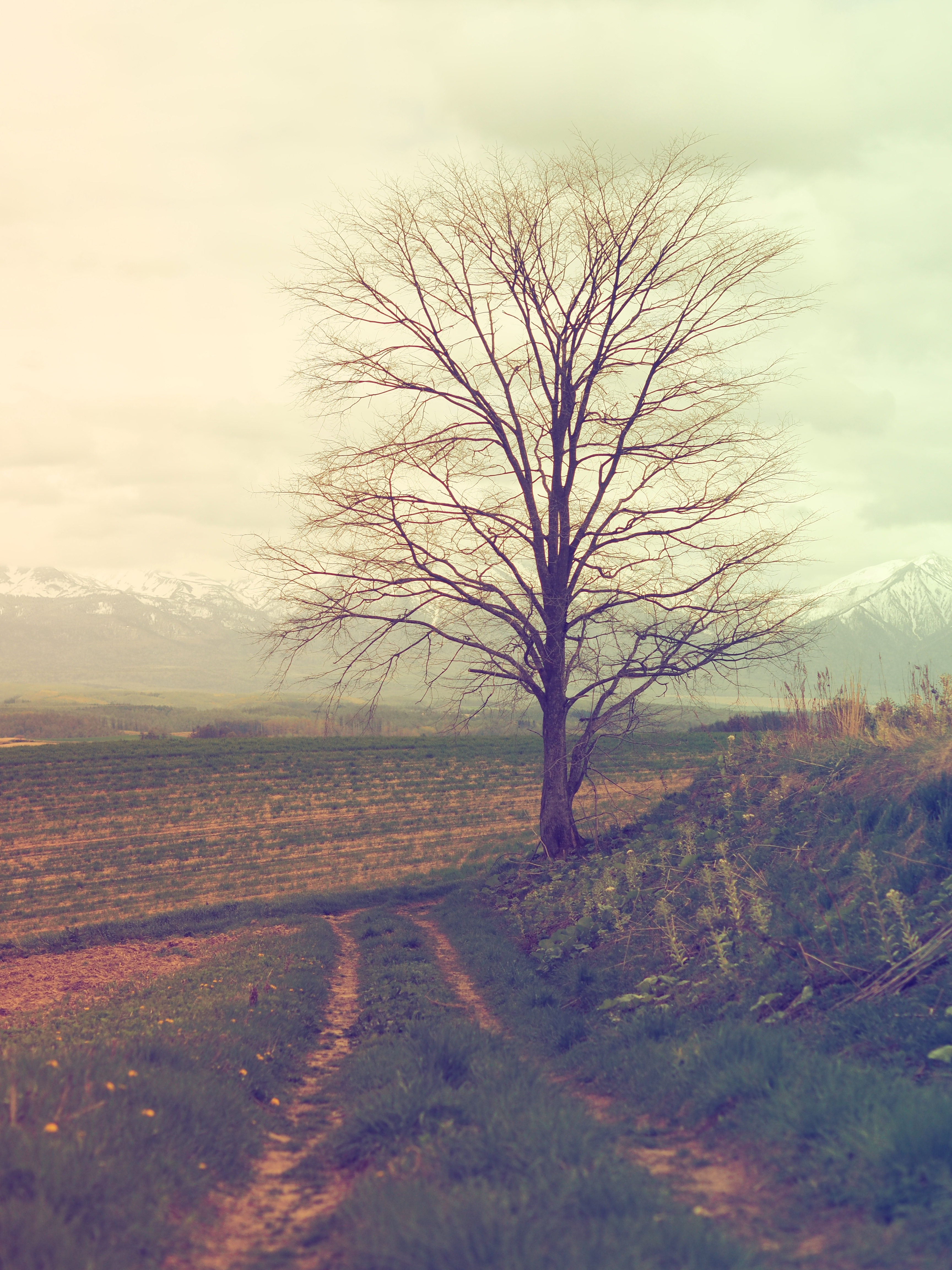 OM-D E-M5 Mark II／M.ZUIKO DIGITAL 45mm F1.8／ISO200／F2.5／1/6,400秒／-0.3EV／45mm／アートフィルター:ヴィンテージ