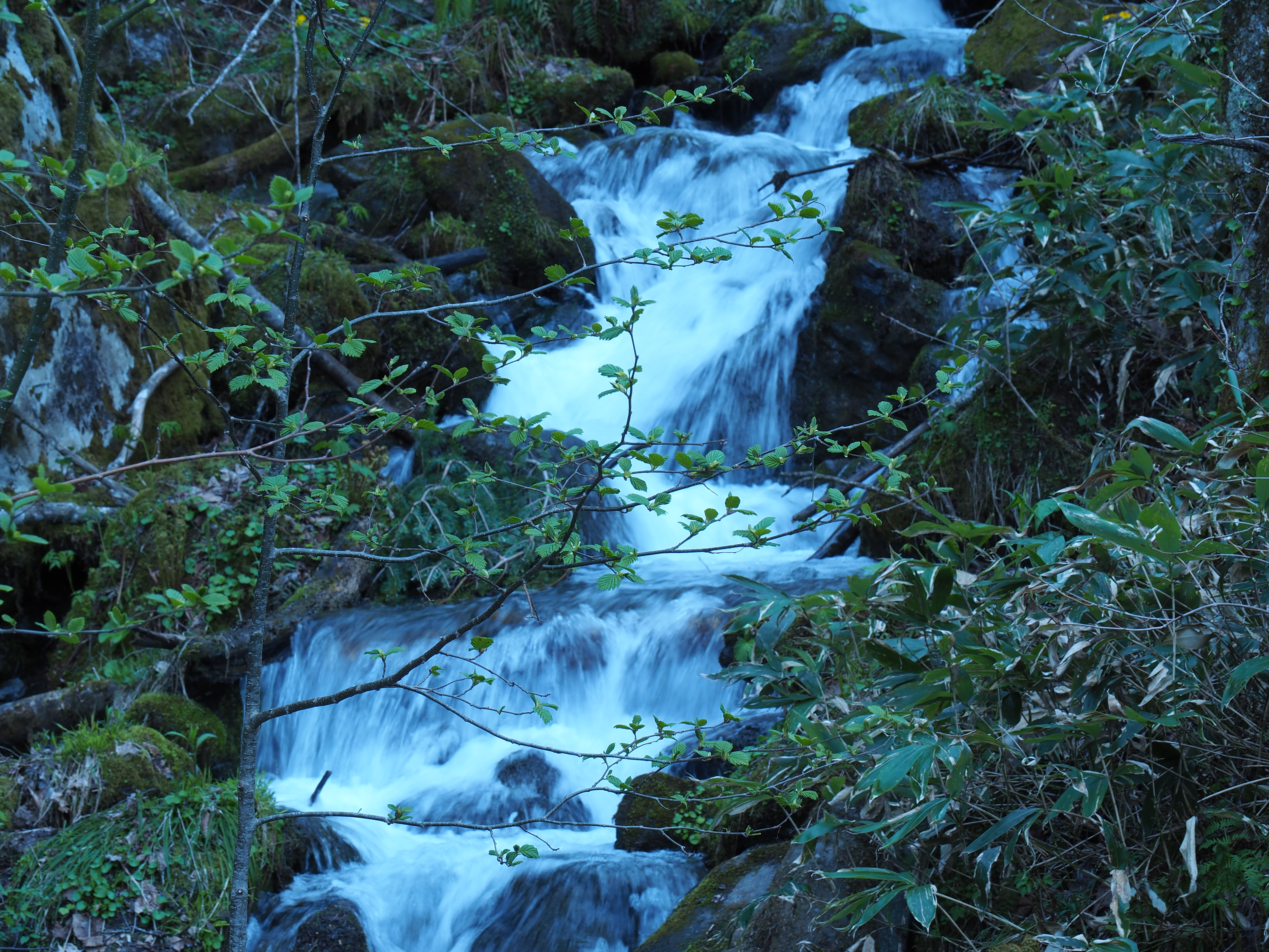 OM-D E-M5 Mark II／M.ZUIKO DIGITAL ED 14-150mm F4.0-5.6 II／ISO100／F9／1/25秒／-0.3EV／75mm