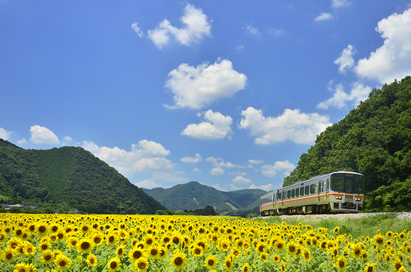 ニコンD5100／AF-S DX NIKKOR 10-24mm f/3.5-4.5G ED／24mm（36mm相当）／絞り優先AE（F5.6、1/500秒、＋2.0EV）／ISO 400WB：晴天
