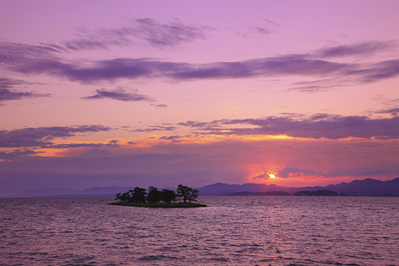 キヤノンEOS 5D Mark II／EF24-105mm F4L IS USM／47mm／絞り優先AE（F8、1/25秒、＋0.3EV）／ISO 200／日陰