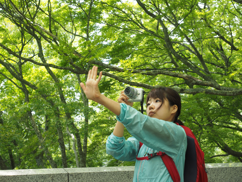 自分の手を使って丸ボケをつくる練習をしました。「近い被写体にピントを合わせ、背景に木漏れ日を持ってくるように撮ると簡単に丸ボケがつくれますよ」とコムロ先生。