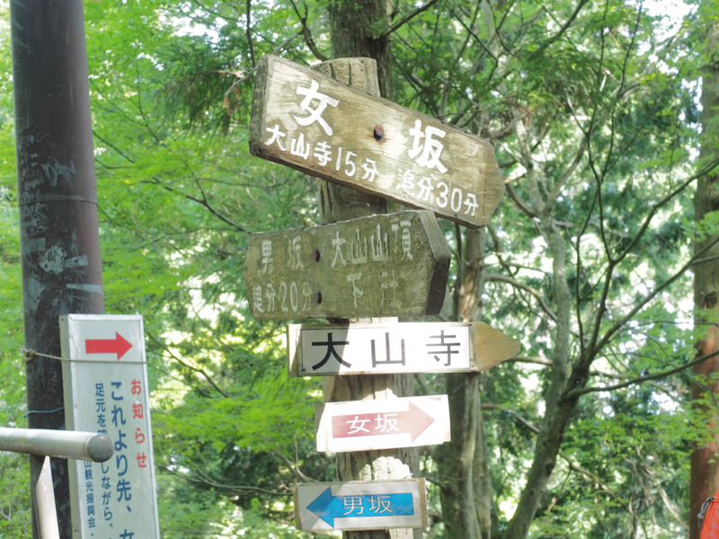 復路はケーブルカーを使わず、女坂を下ります。「登りは肺に来て、下りは膝に来ます。肺は休憩すれば回復しますが、膝は痛めるとすぐ回復しないので慎重に一歩一歩踏みしめて歩いてください」と、ミズノの石原さんからアドバイスをいただきました。