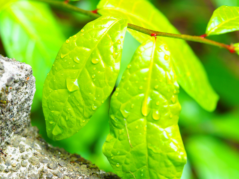 撮影：Sakuraさん。「女子だけでわいわい楽しく撮影できて楽しかったです。色々なレンズを試せたり、カメラの操作方法など教えてもらえたり、いつも新しい発見があります。今回は山登りも体験でき一石二鳥の撮影会でした」