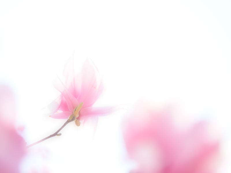 露出補正：+3.3EV