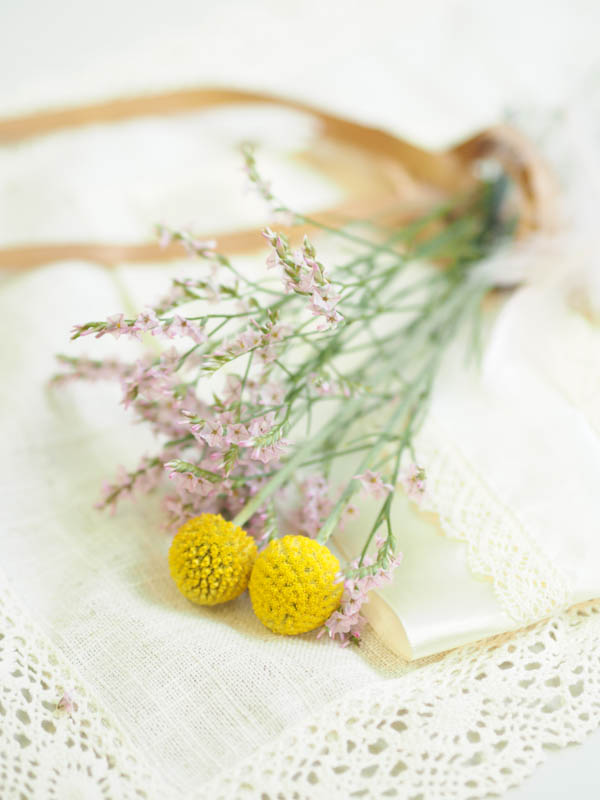 露出補正：+1.7EV