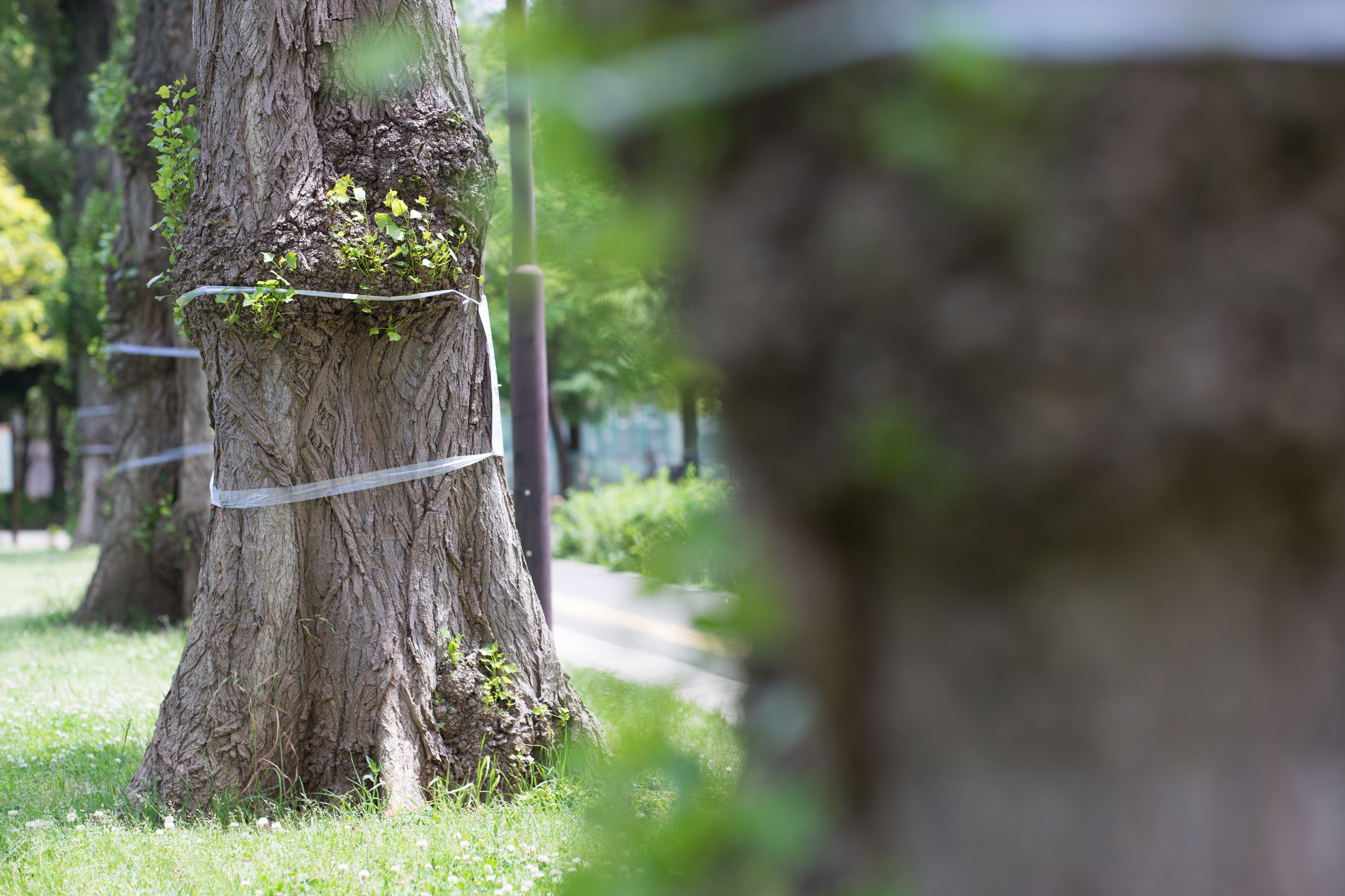 絞りF2.8・距離数mで撮影。