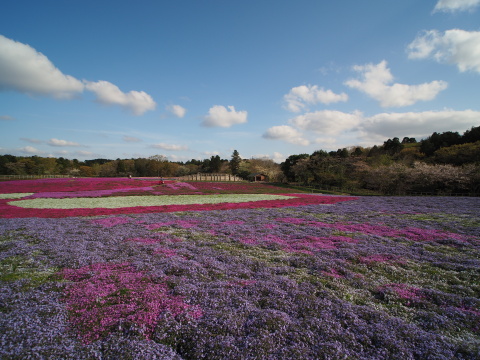 コーワPROMINARの世界 高画質マイクロフォーサーズレンズの秘密を探る