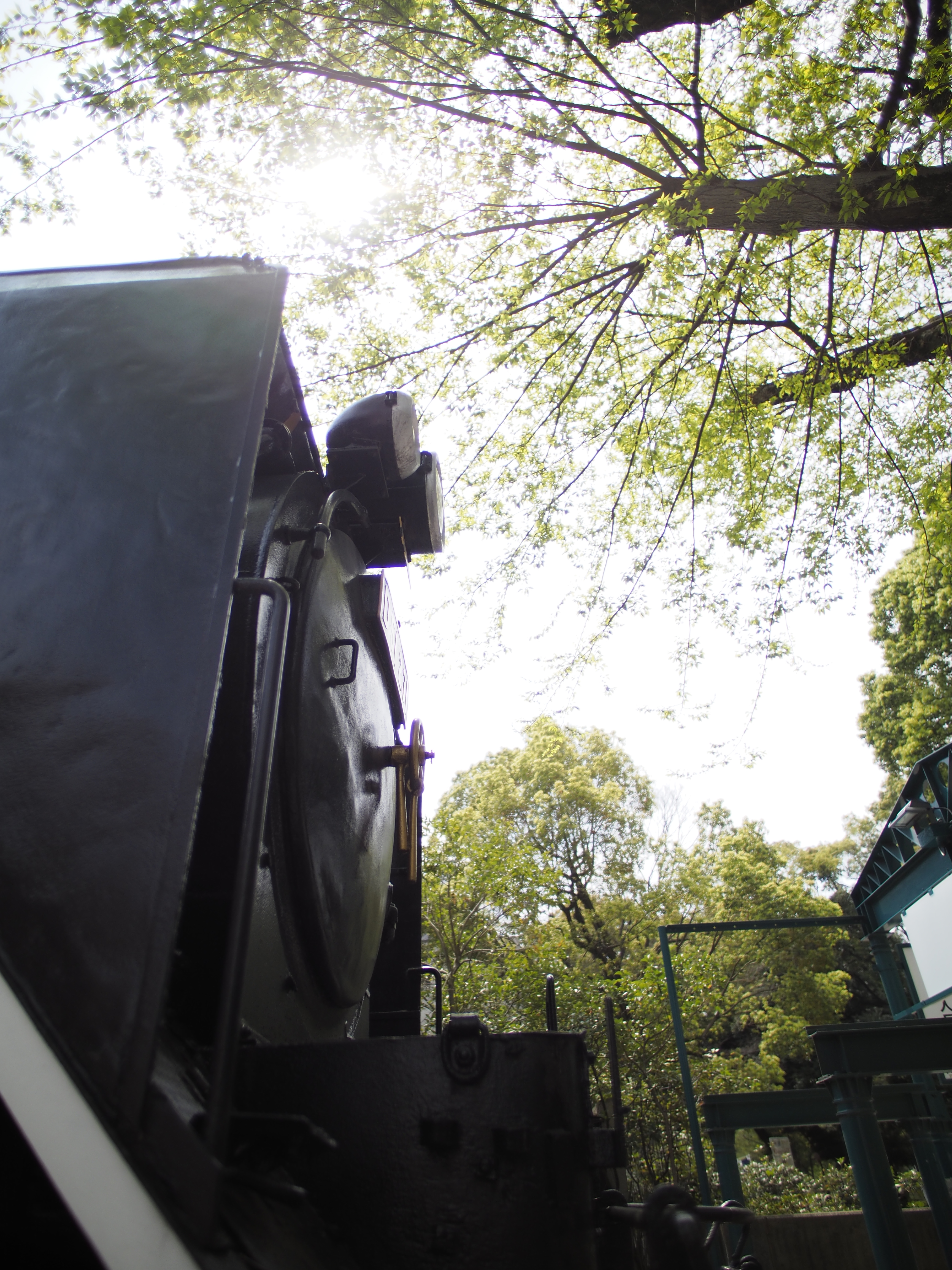 太陽が画面内に入る逆光で撮影。E-M5 Mark II / 1/8,000秒 / F0.95 / -1EV / ISO200 / 絞り優先AE / 10.5mm