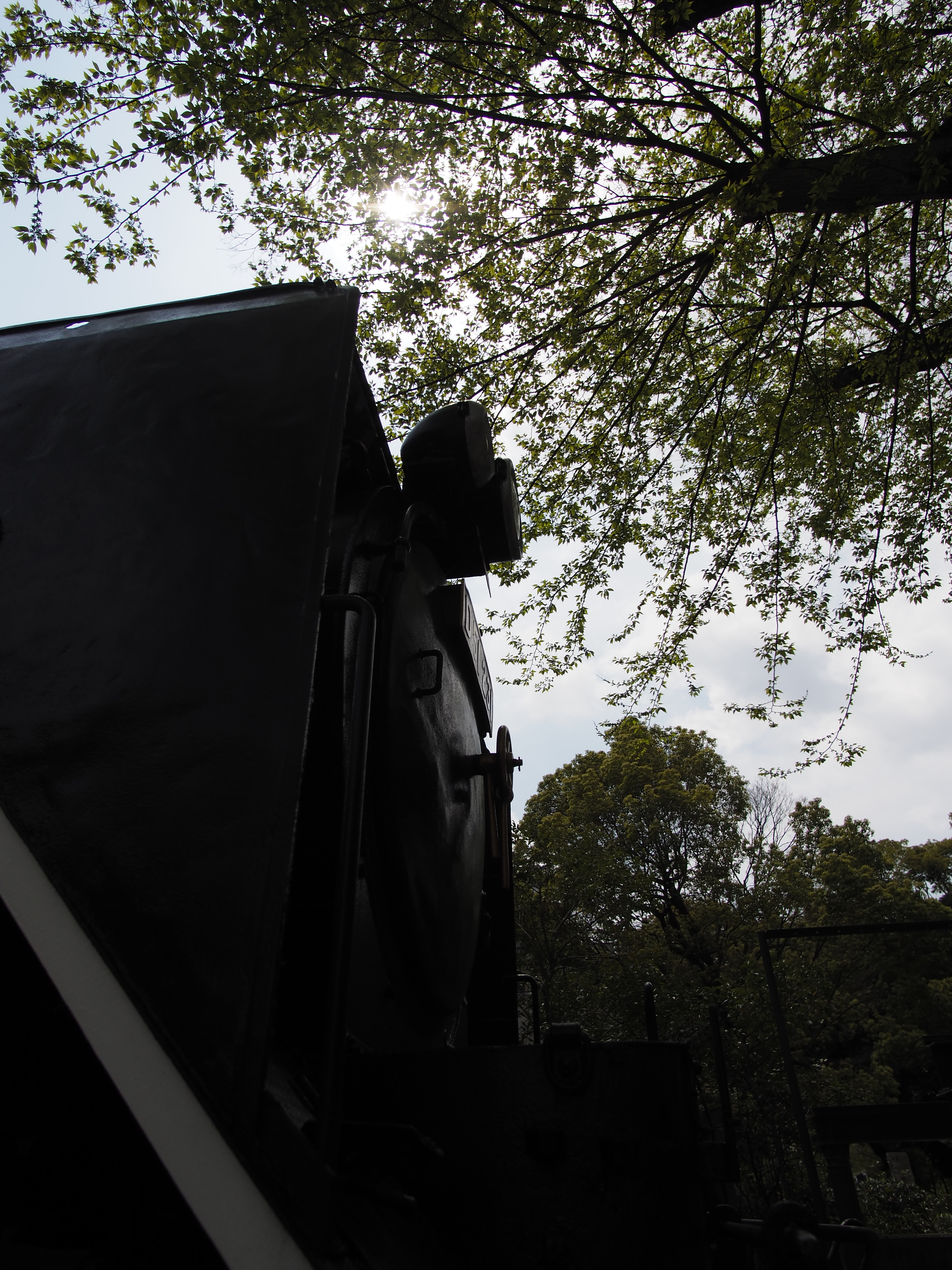 太陽が画面外にある逆光で撮影。E-M5 Mark II / 1/8,000秒 / F2.8 / -1EV / ISO200 / 絞り優先AE / 10.5mm