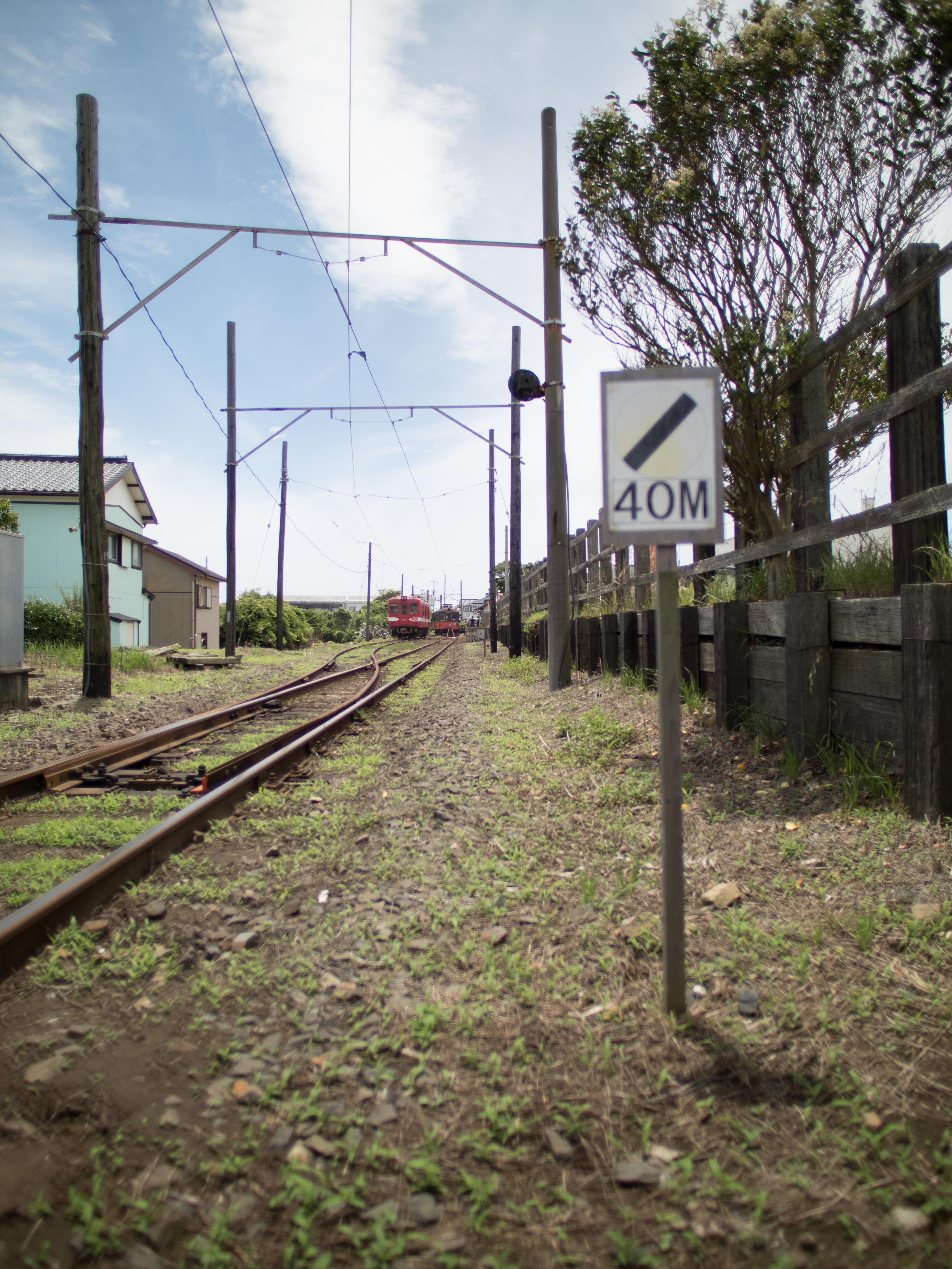 E-M5 Mark II / 1/4,000秒 / F0.95 / +0.7EV / ISO200 / 絞り優先AE / 10.5mm