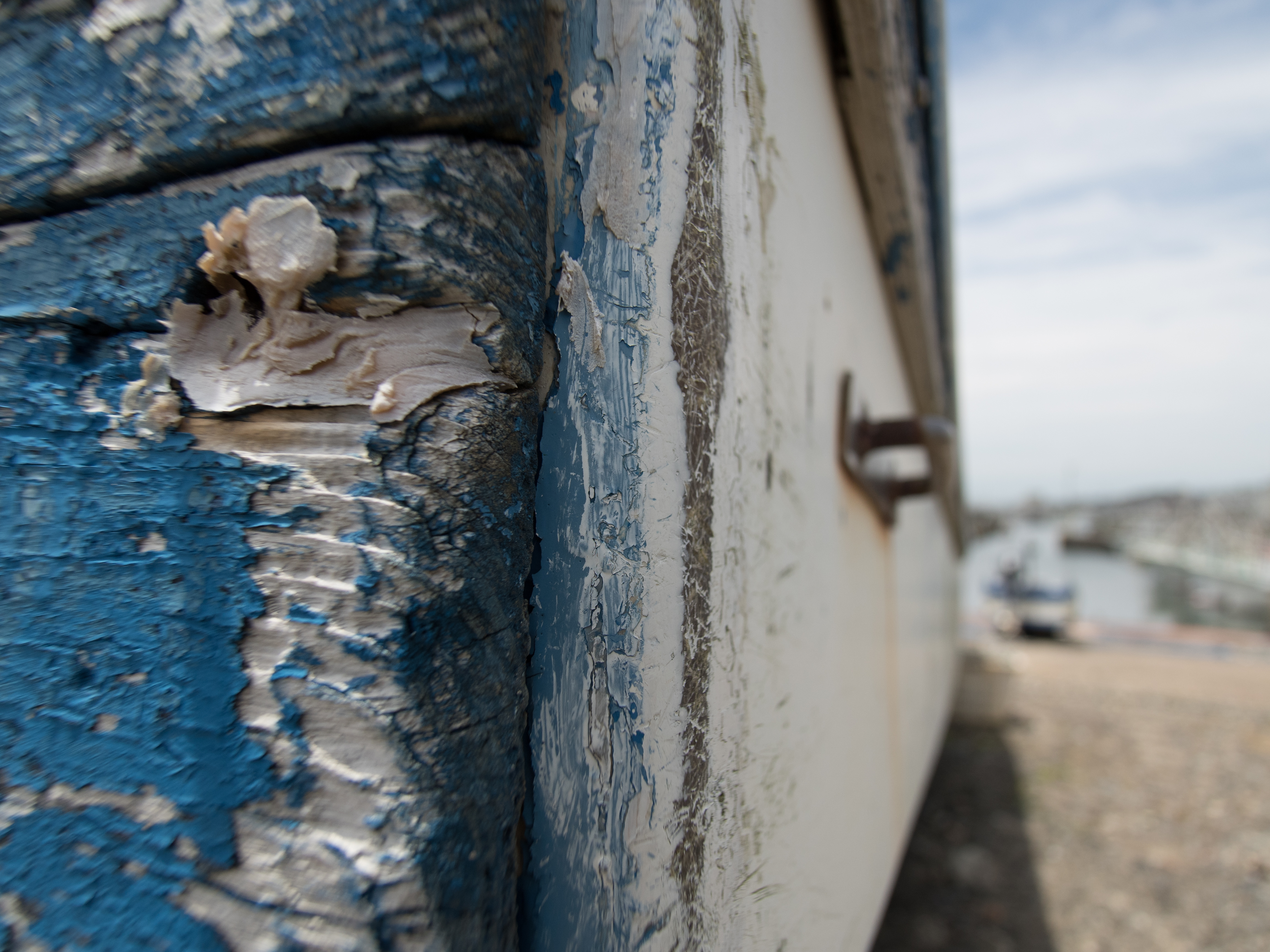 E-M5 Mark II / 1/400秒 / F4 / 0EV / ISO200 / 絞り優先AE / 10.5mm