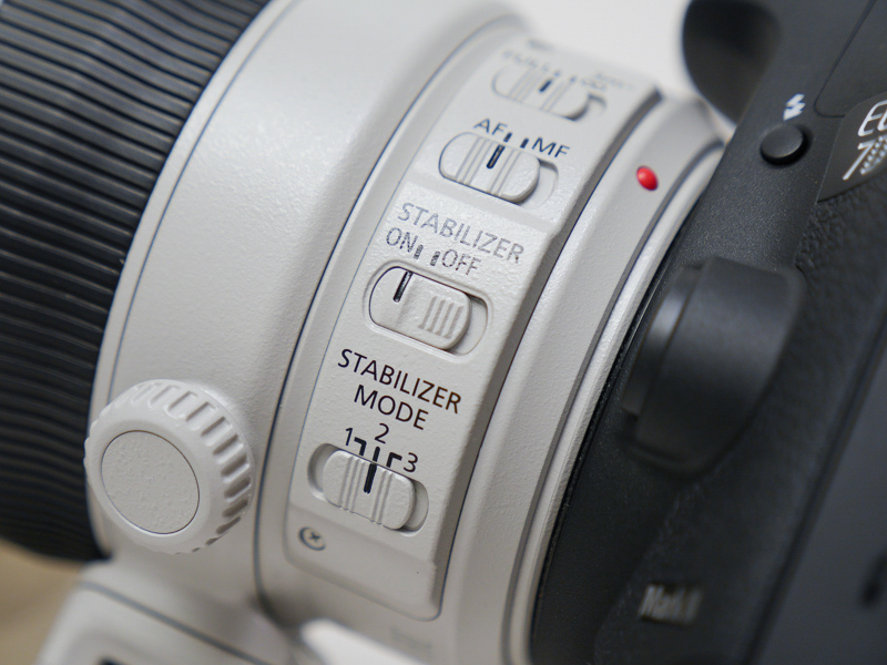 EF100-400mm F4.5-5.6L IS II USMの手ブレ補正モードを流し撮り対応のモード2に設定して撮影。