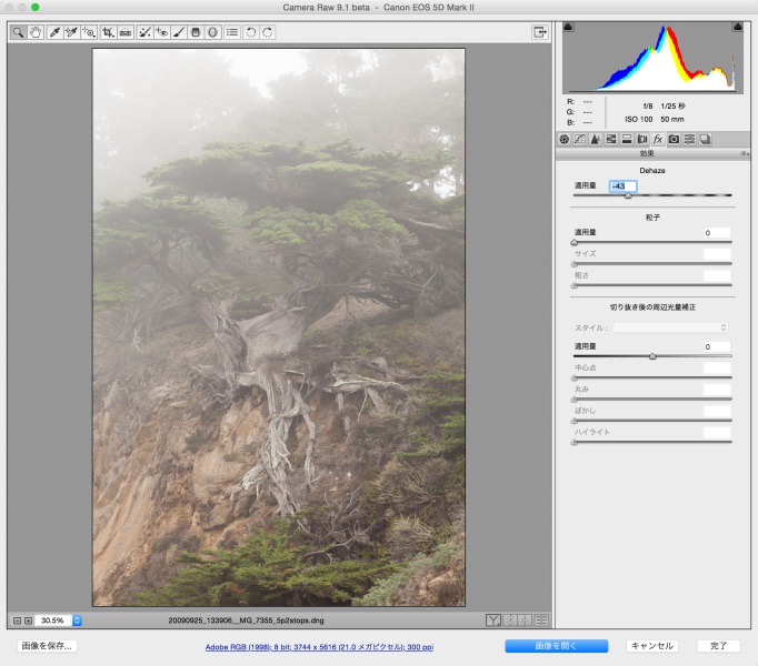 マイナス方面に効果適用し、霞を追加