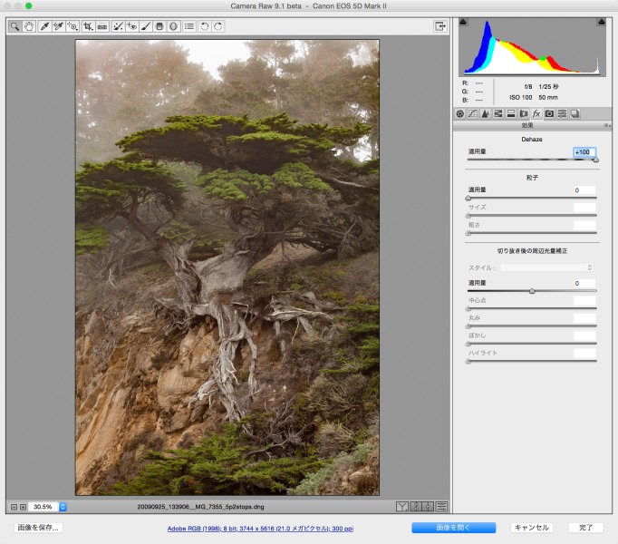効果を適用。霞を除去