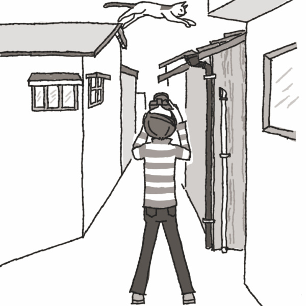 <strong class="">家の屋根を飛んでいる猫を狙う</strong><br class="">この場所はよく猫がジャンプをする、地元では有名な猫の飛びスポット。高さ2m以上ある壁をジャンプして登ったり、屋根から屋根へ飛び移っていたりする。猫までの距離はおよそ3mほど。夏の暑い日には屋根には登らないので、涼しくなってきてから狙おう