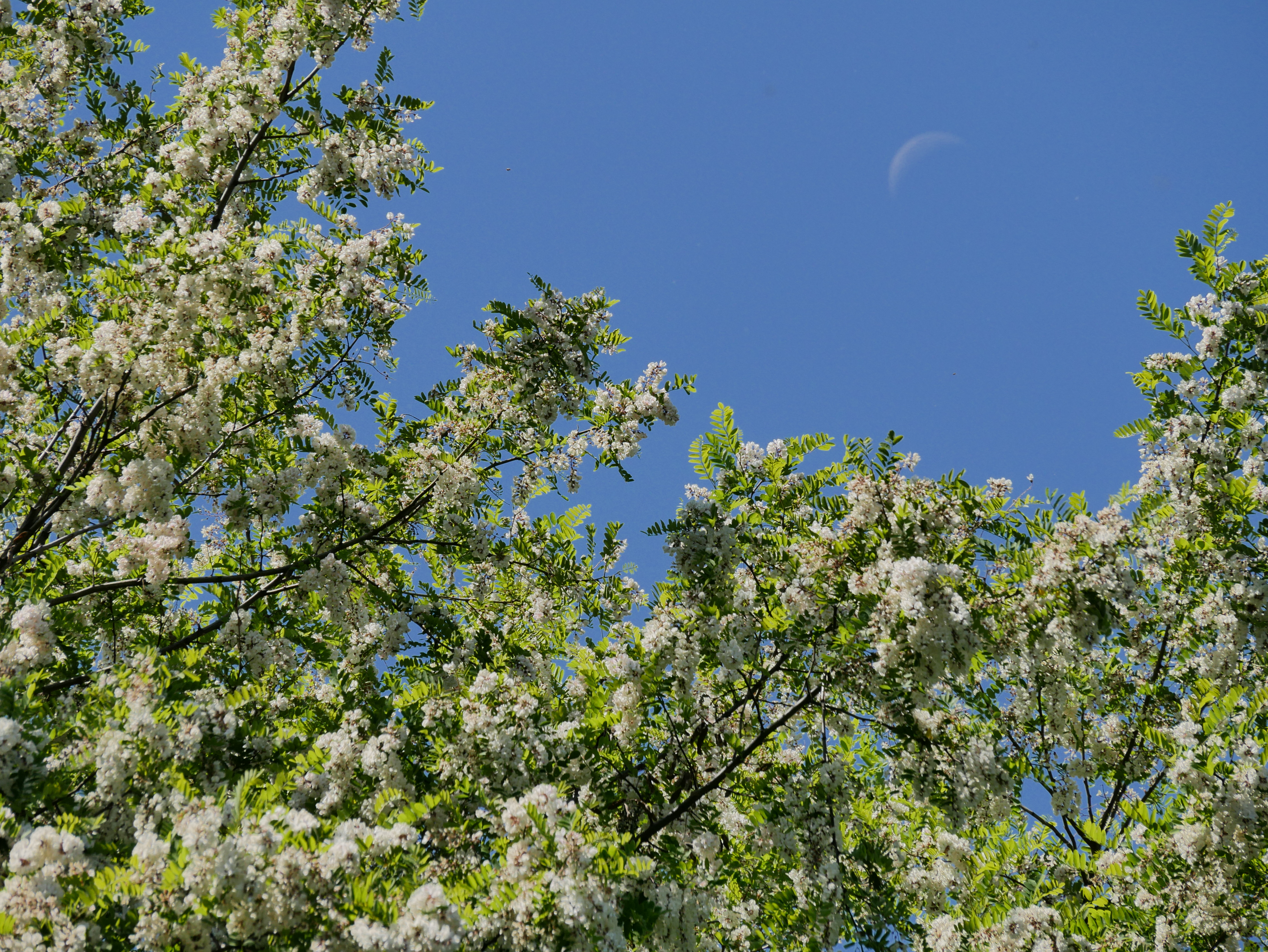 ハイダイナミック