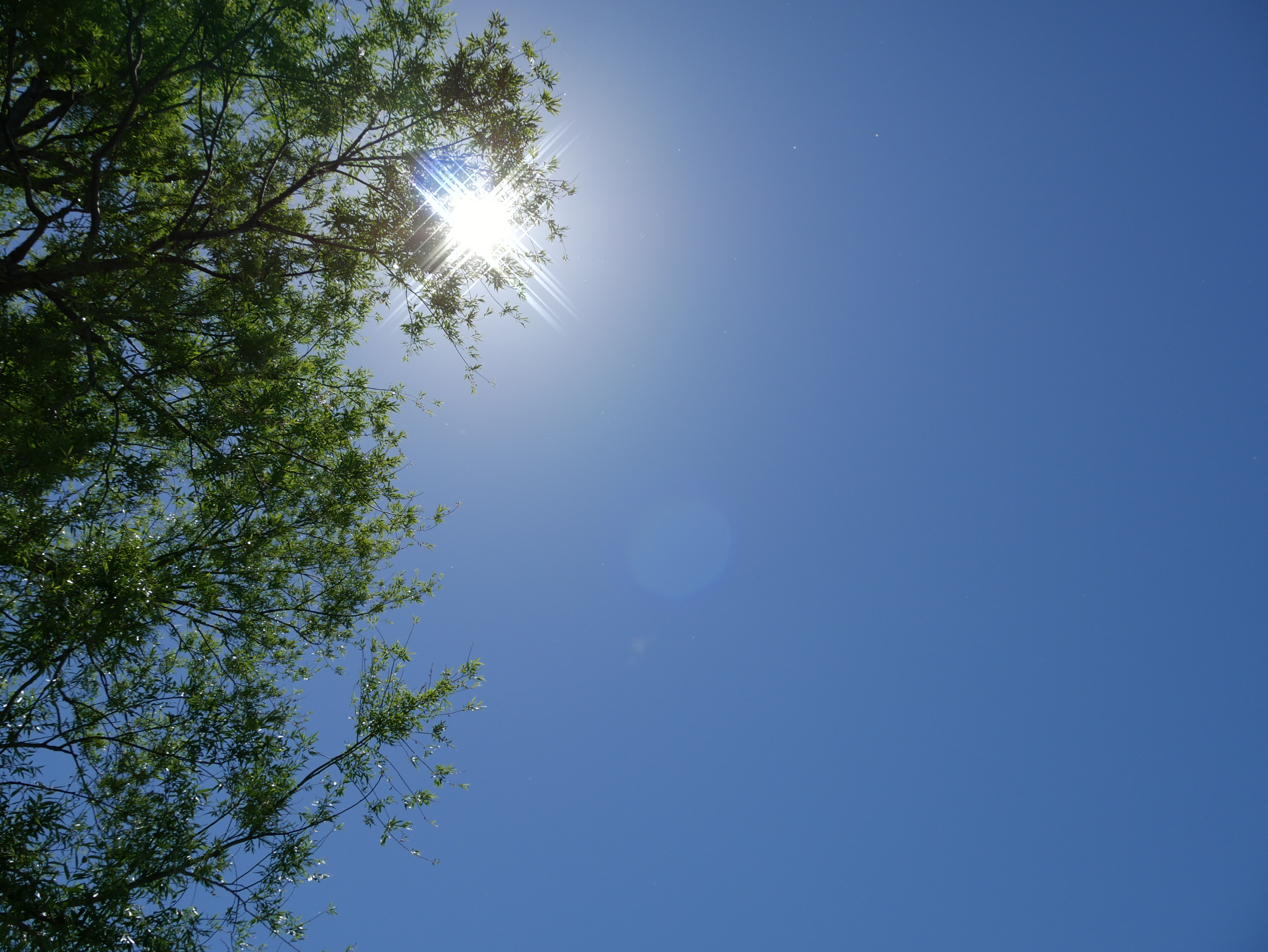 クロスフィルター