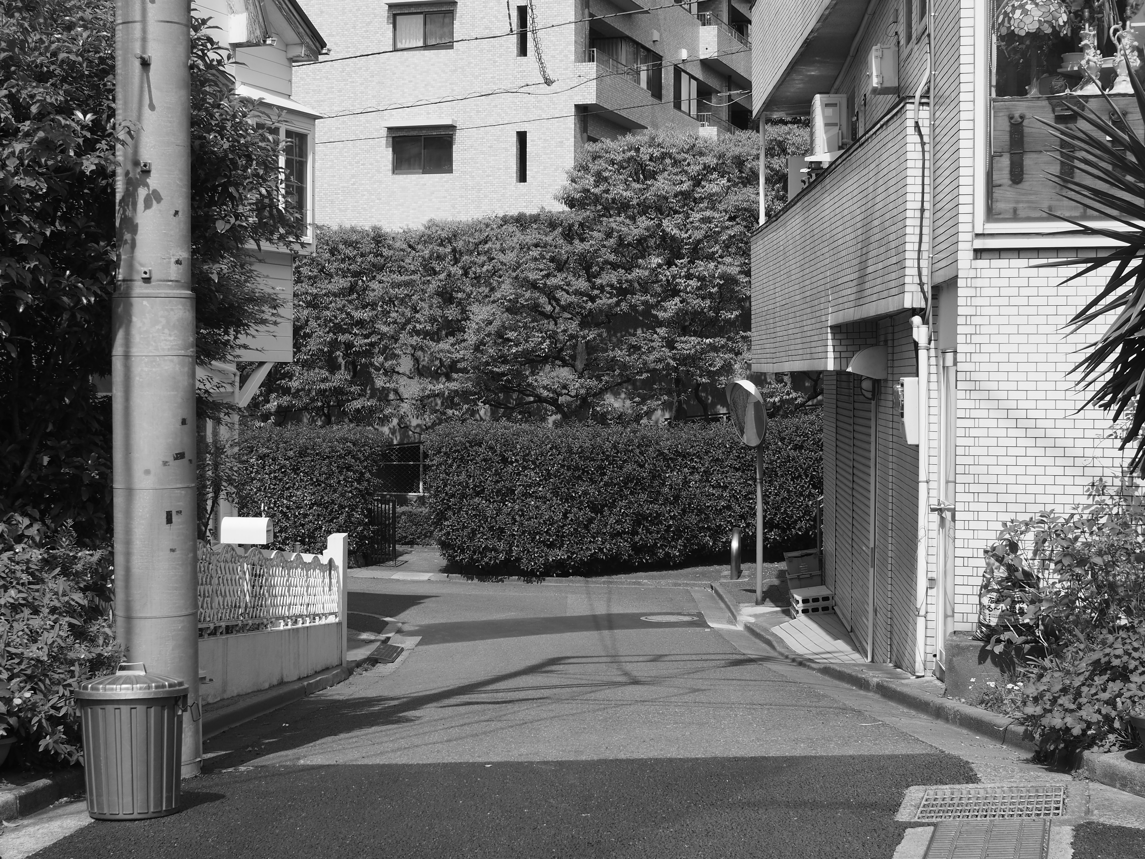 ZUIKO 28mm F2.8 / 1/400秒 / F8 / ISO200 / 絞り優先AE