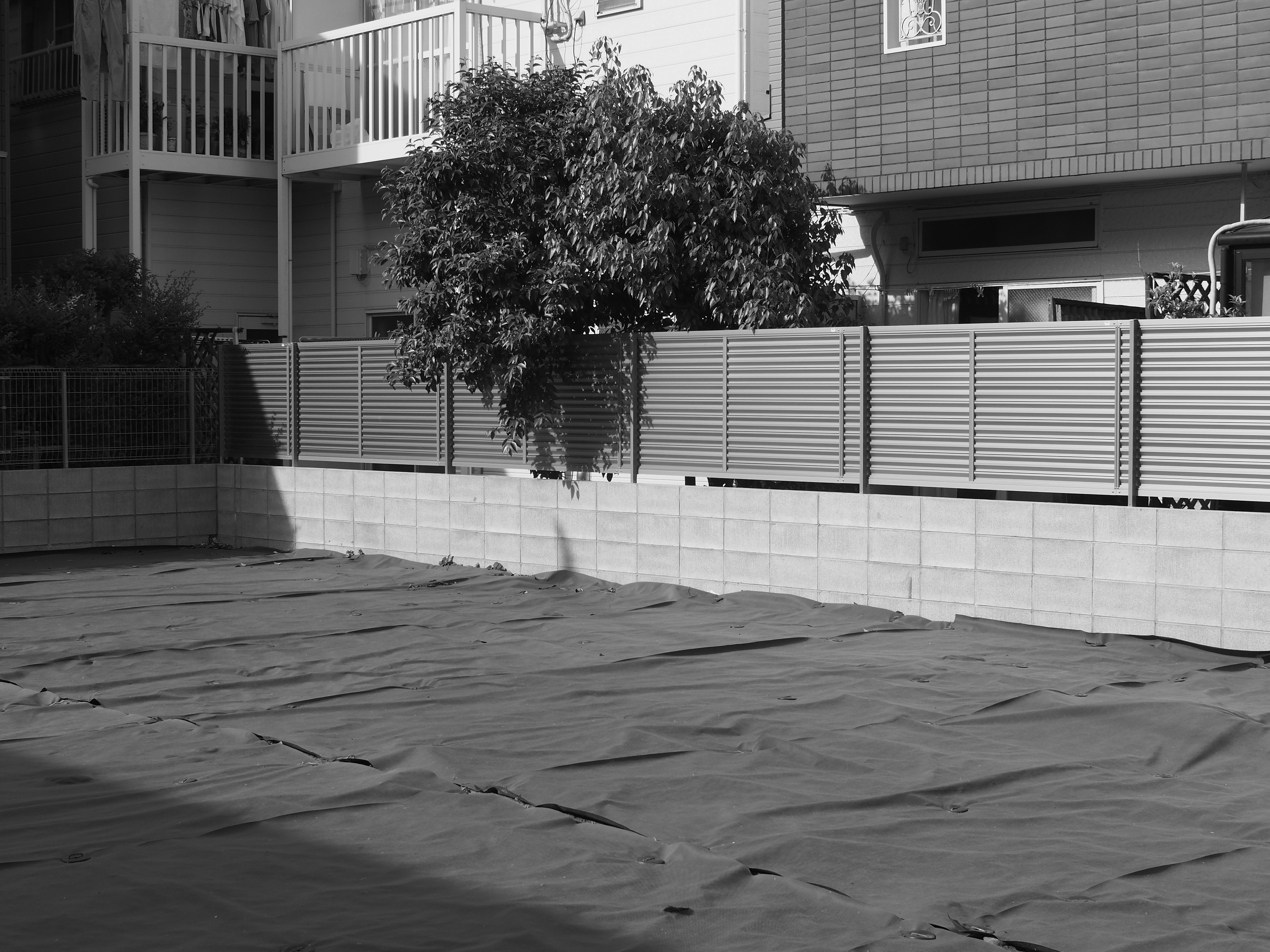 ZUIKO 28mm F2.8 / 1/500秒 / F8 / ISO200 / 絞り優先AE