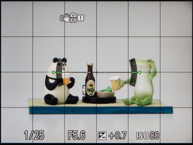 撮影時の画面。パナソニックもそうだが、画面中央に水準器が表示されるのは絶妙に邪魔である。