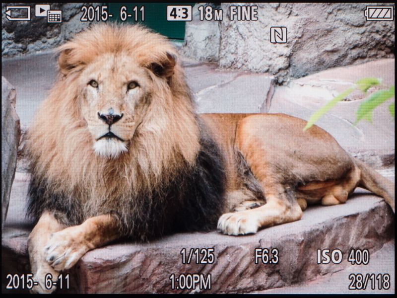 再生時の画面。