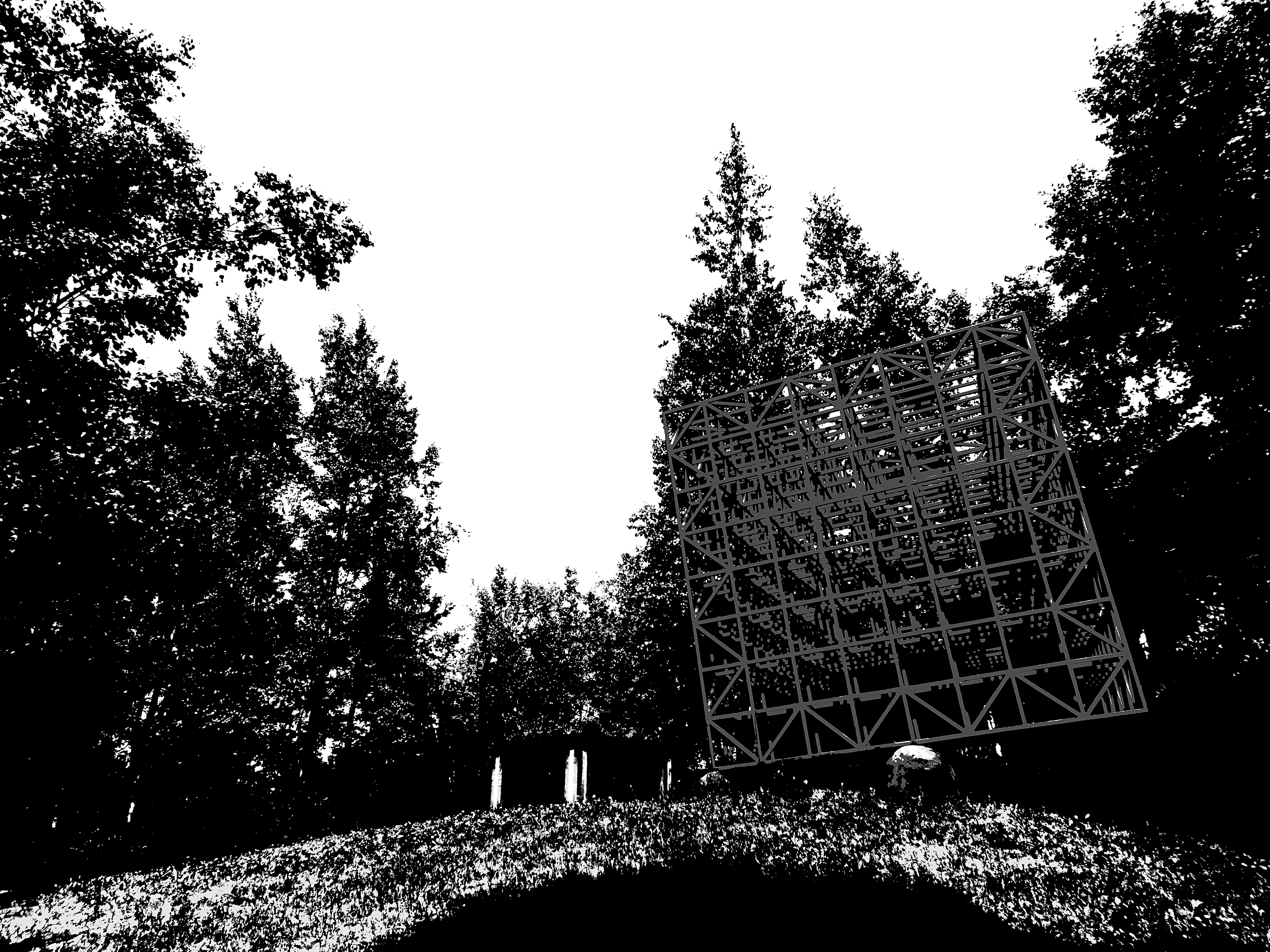 ポスタリゼーション：白黒