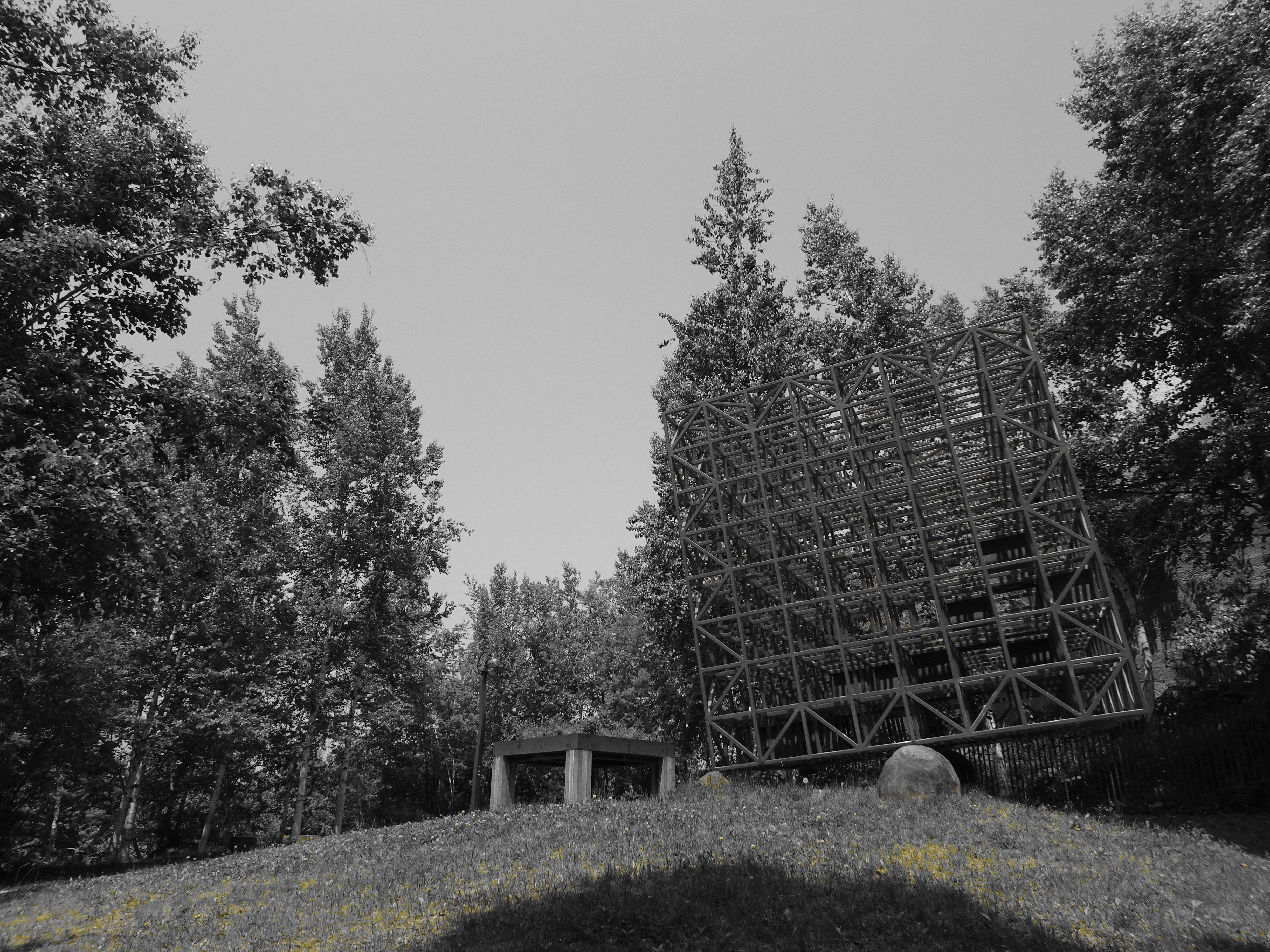 パートカラー：イエロー