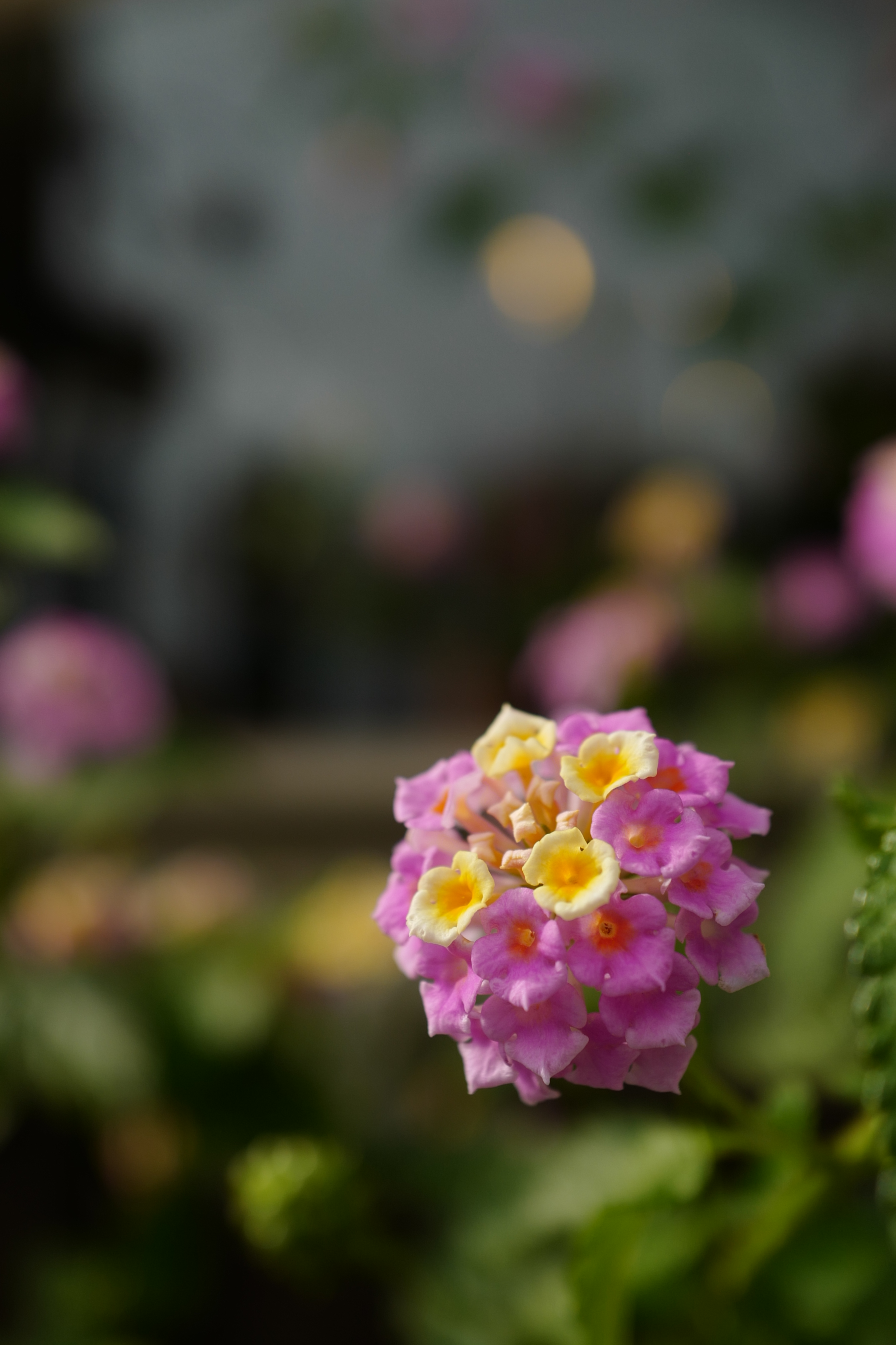 2,240×3,360 / ISO100 / F2.8 / 1/1,250秒 / 50mm相当クロップ